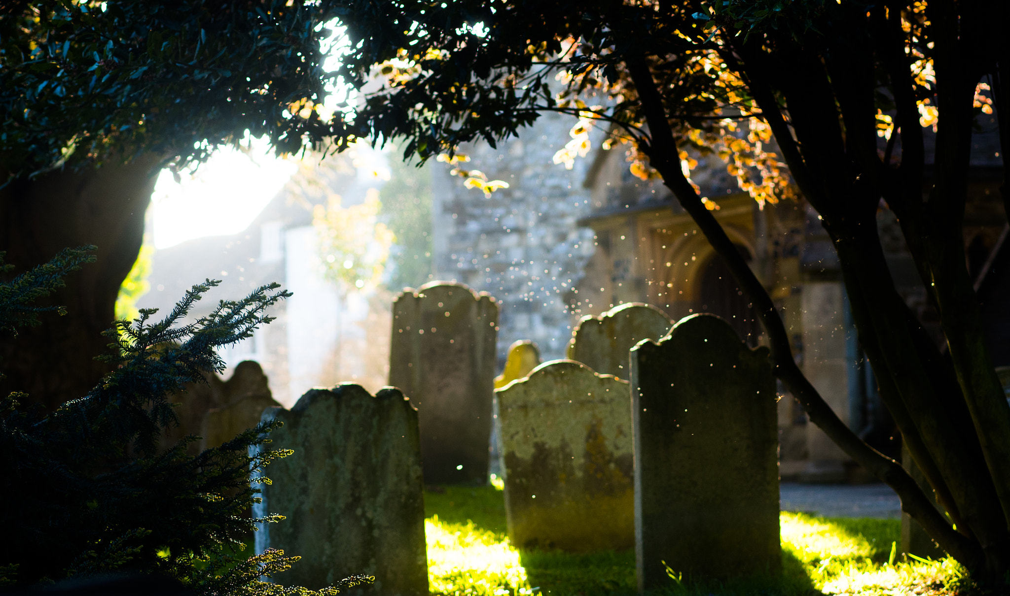 Olympus PEN E-PL7 sample photo. Burial grounds photography