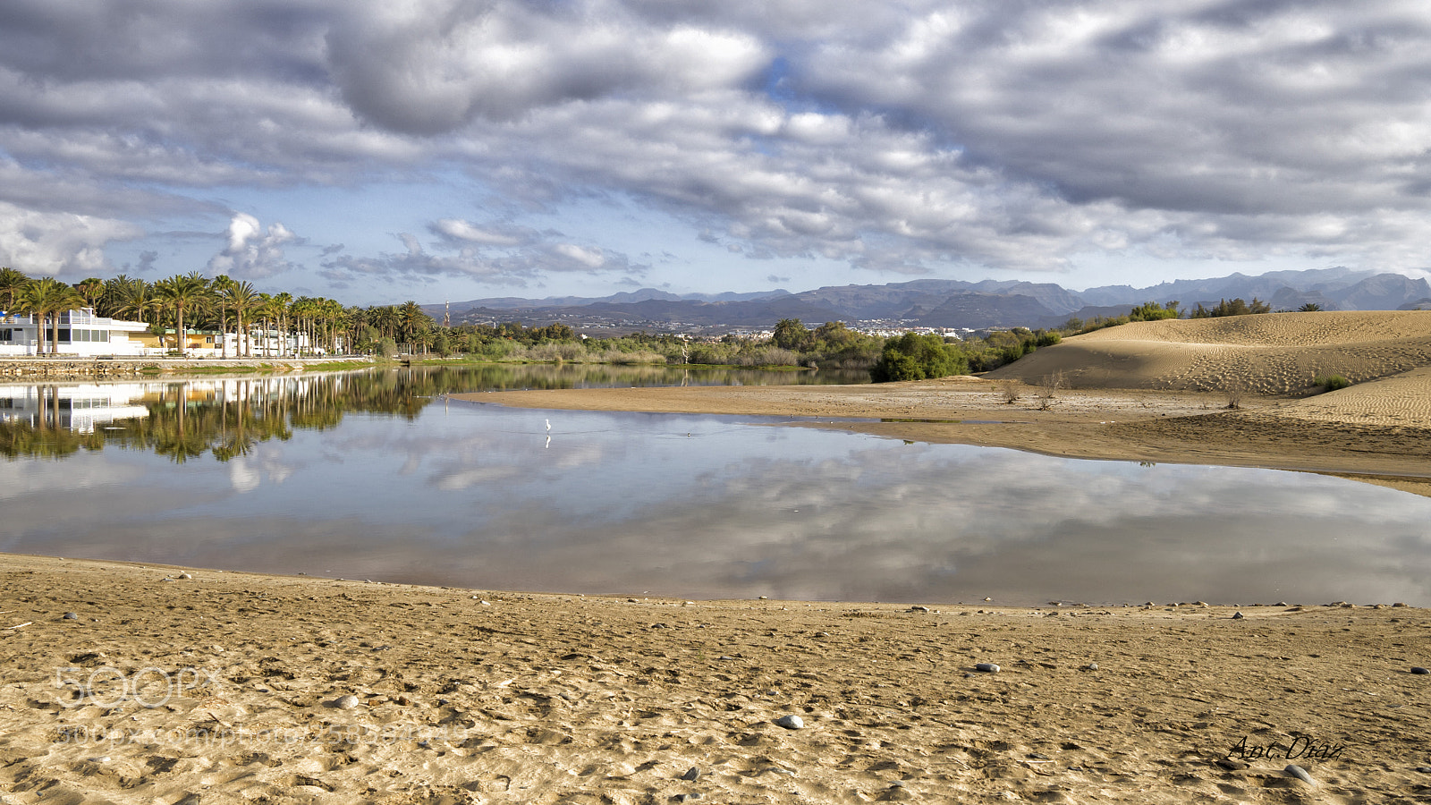Sony a7 II sample photo. Charca de maspalomas-canary island photography