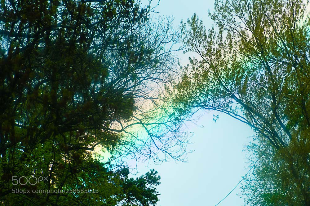Nikon D500 sample photo. Rainbow photography