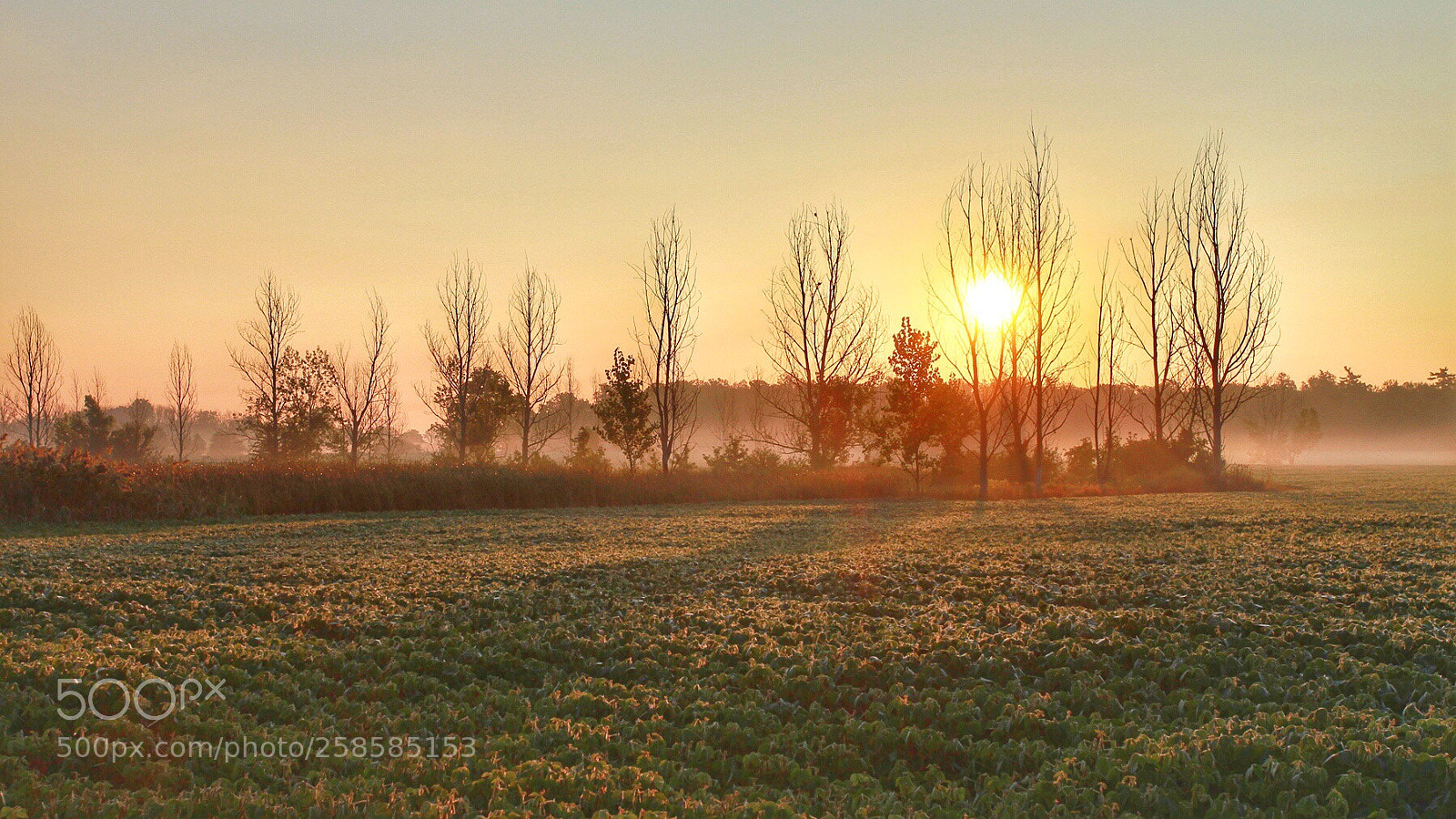 Canon EOS 7D sample photo. Sunrise photography