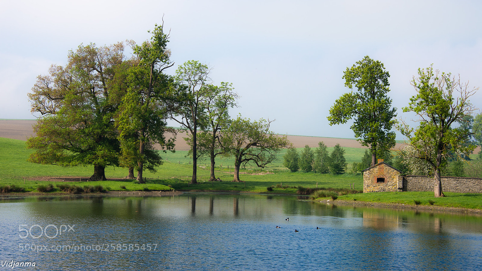 Nikon D610 sample photo. At the waterside photography