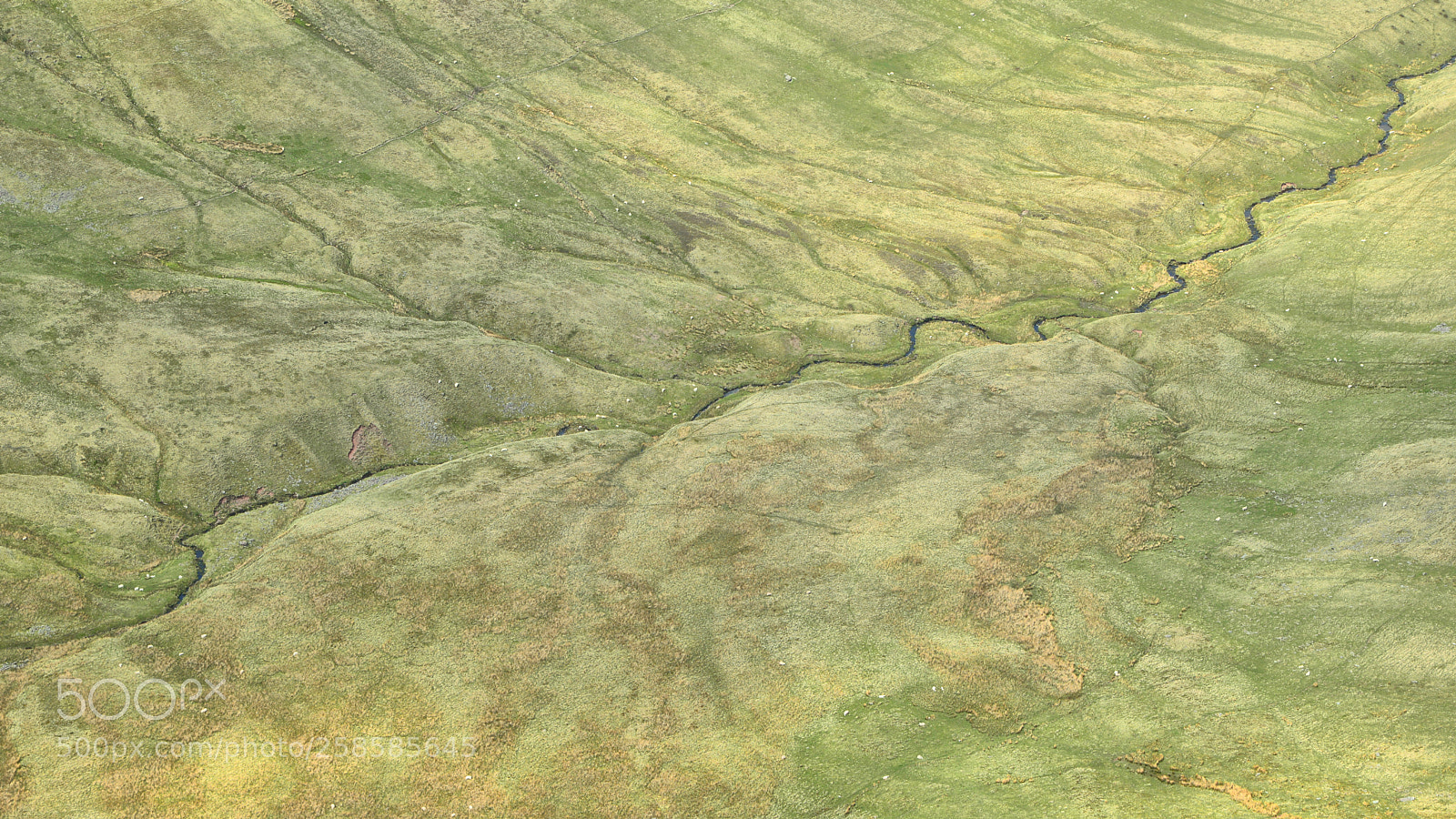 Nikon D610 sample photo. Mountain river photography