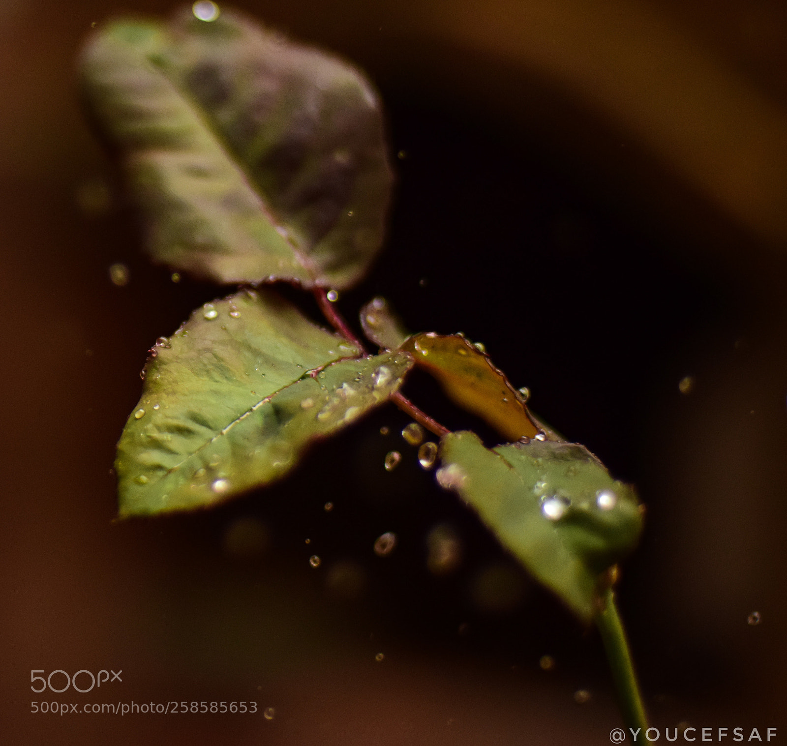 Nikon D3300 sample photo. Water drops photography