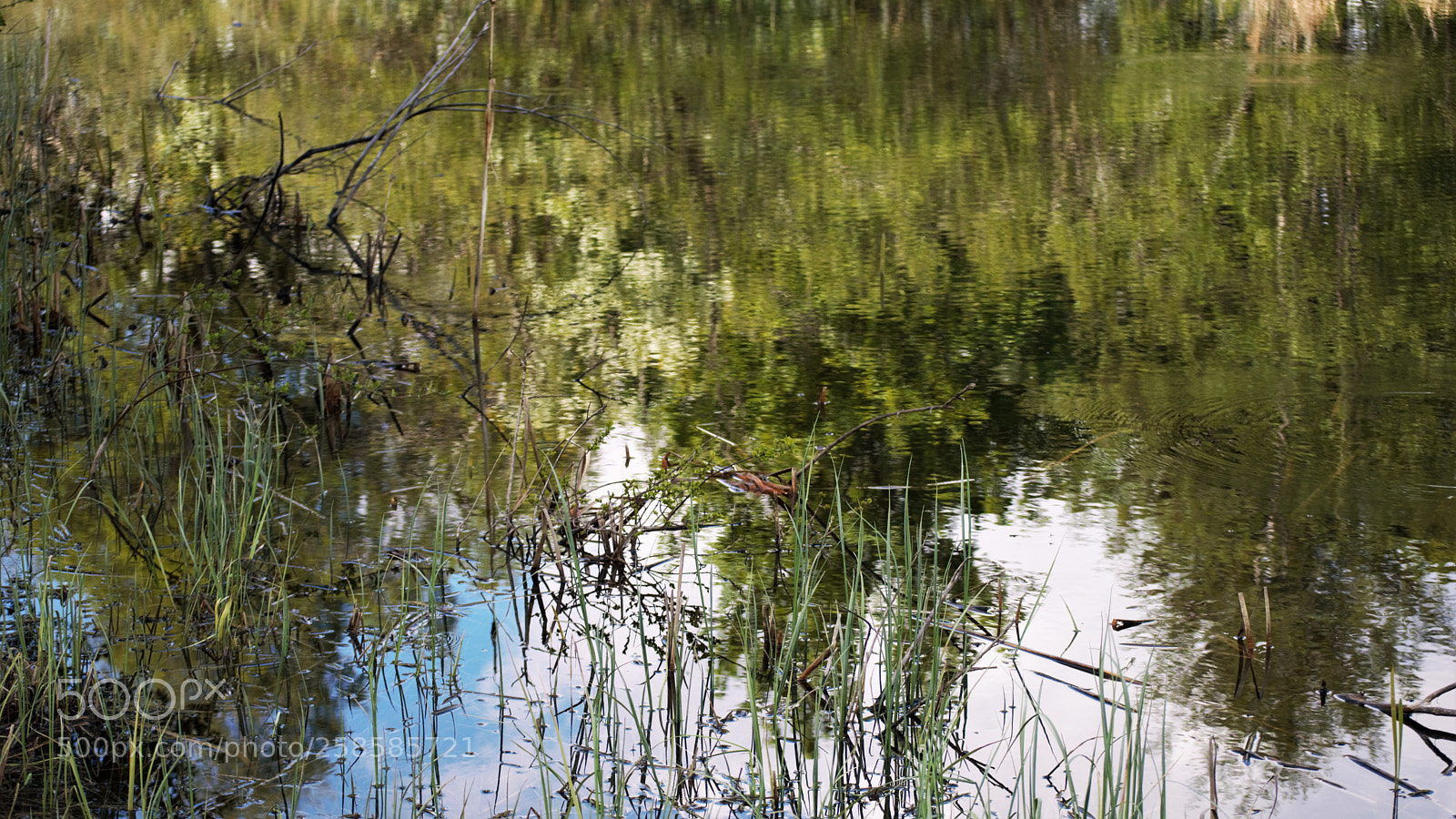 Nikon D3200 sample photo. Untitled photography