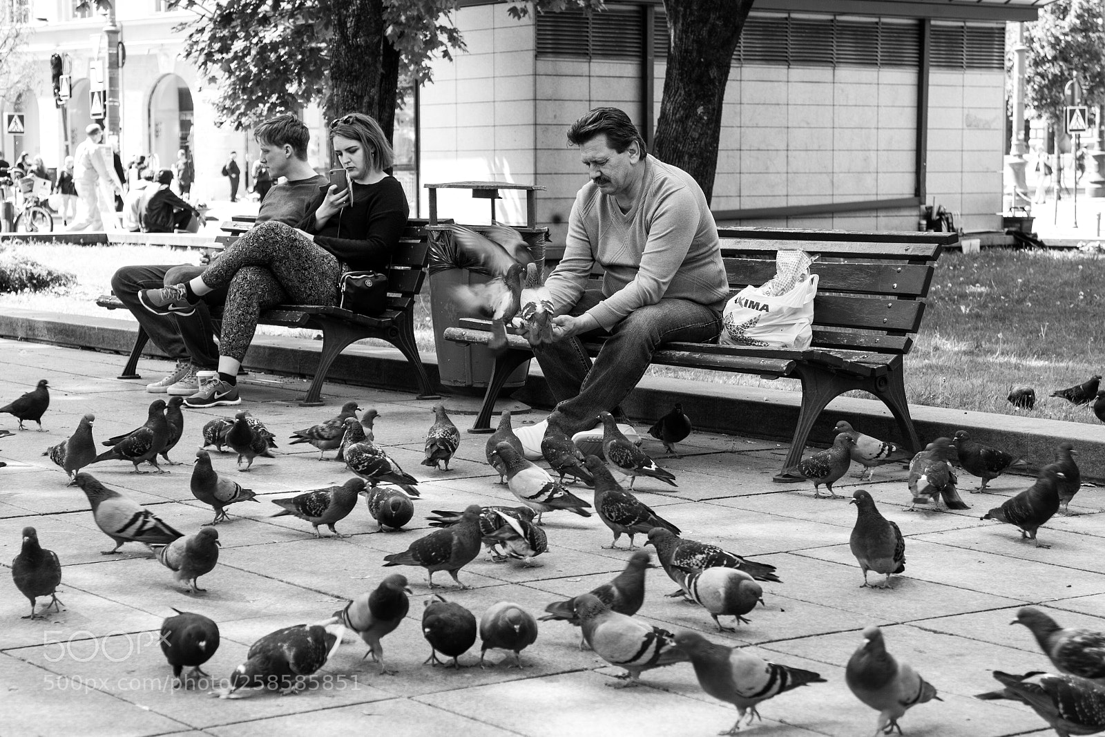 Canon EOS 7D sample photo. Street bird feeding photography