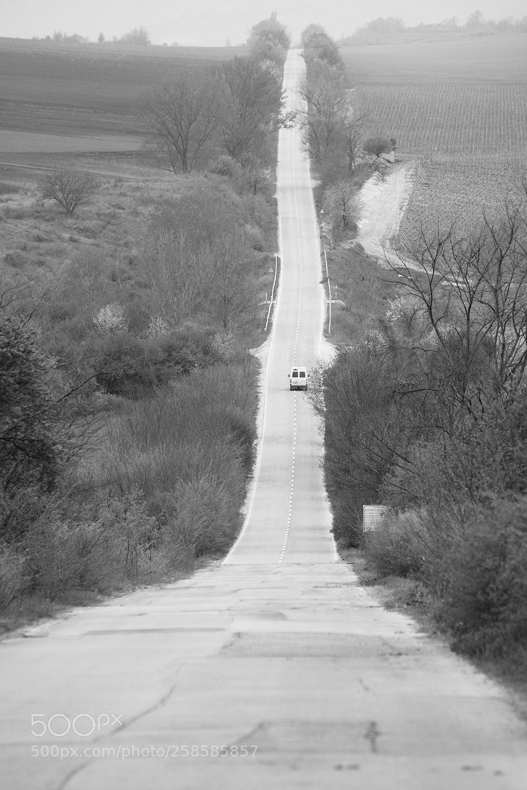 Nikon D800 sample photo. Winding roads photography