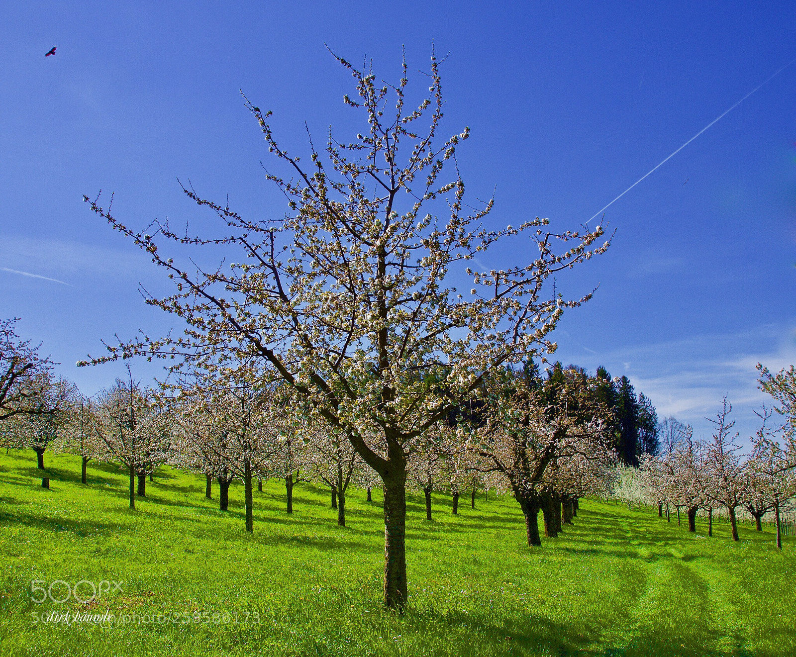 Sony SLT-A65 (SLT-A65V) sample photo. Noch ein bisschen zeit  photography