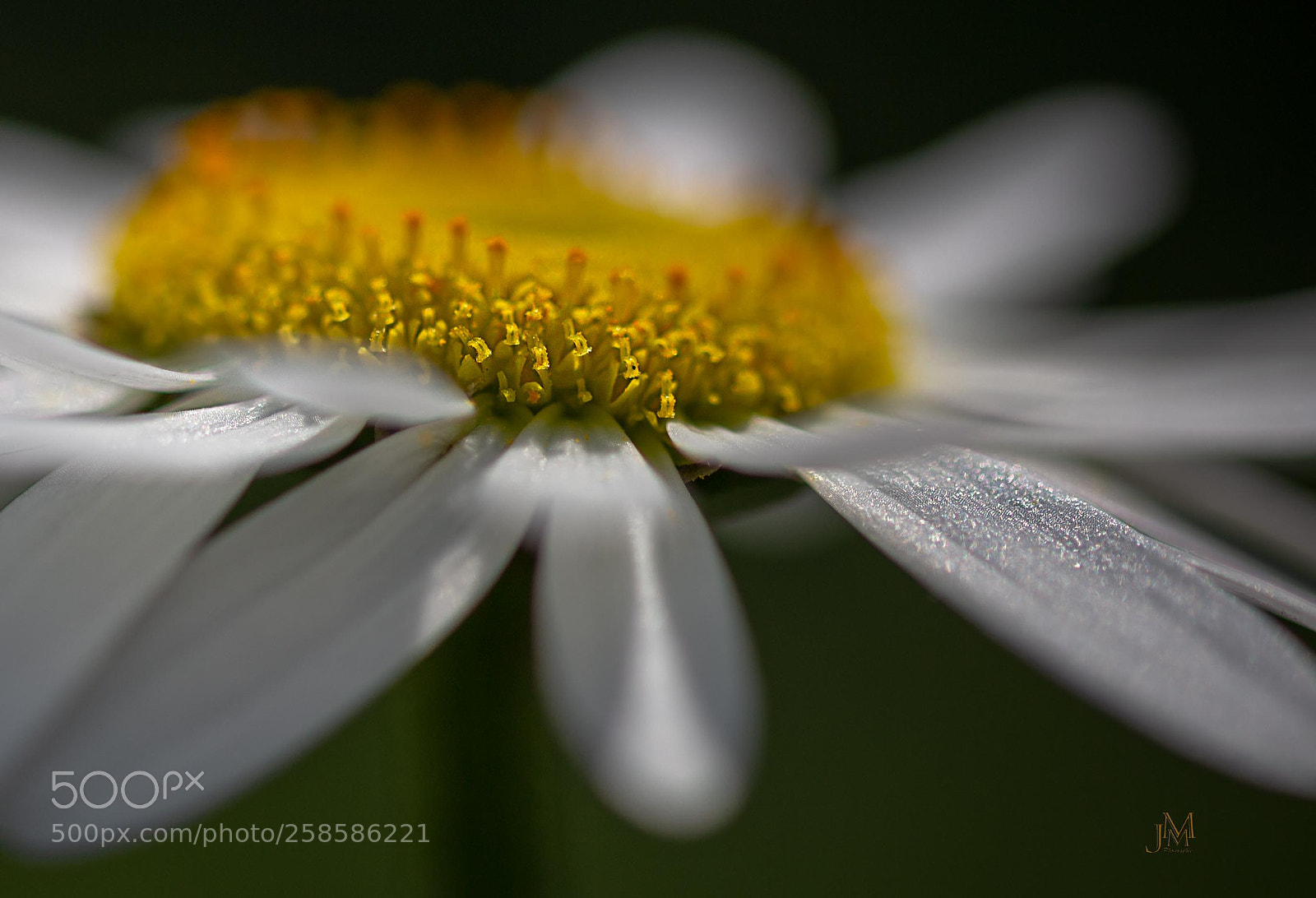 Canon EOS 6D sample photo. Je t'aime, un peu photography