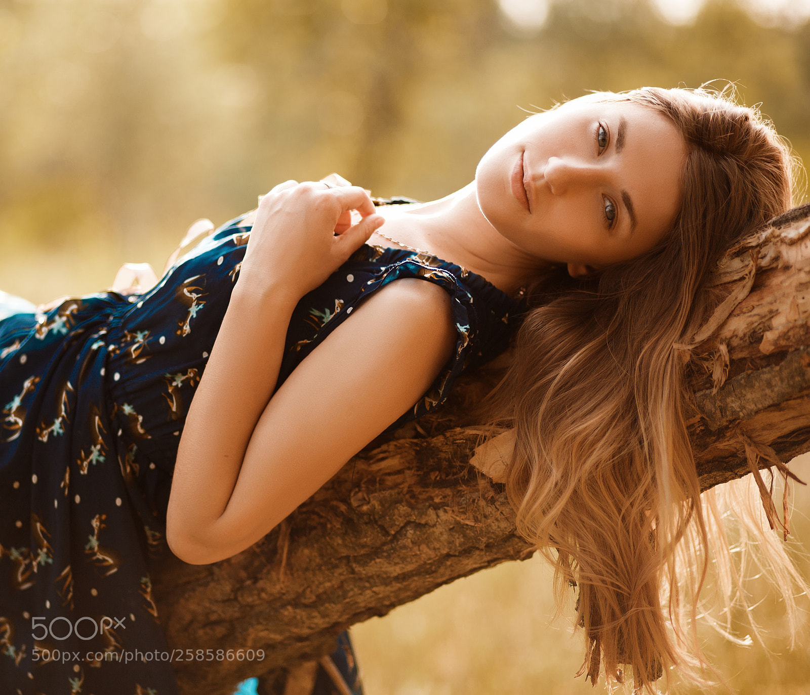 Canon EOS 5D Mark II sample photo. Untitled photography