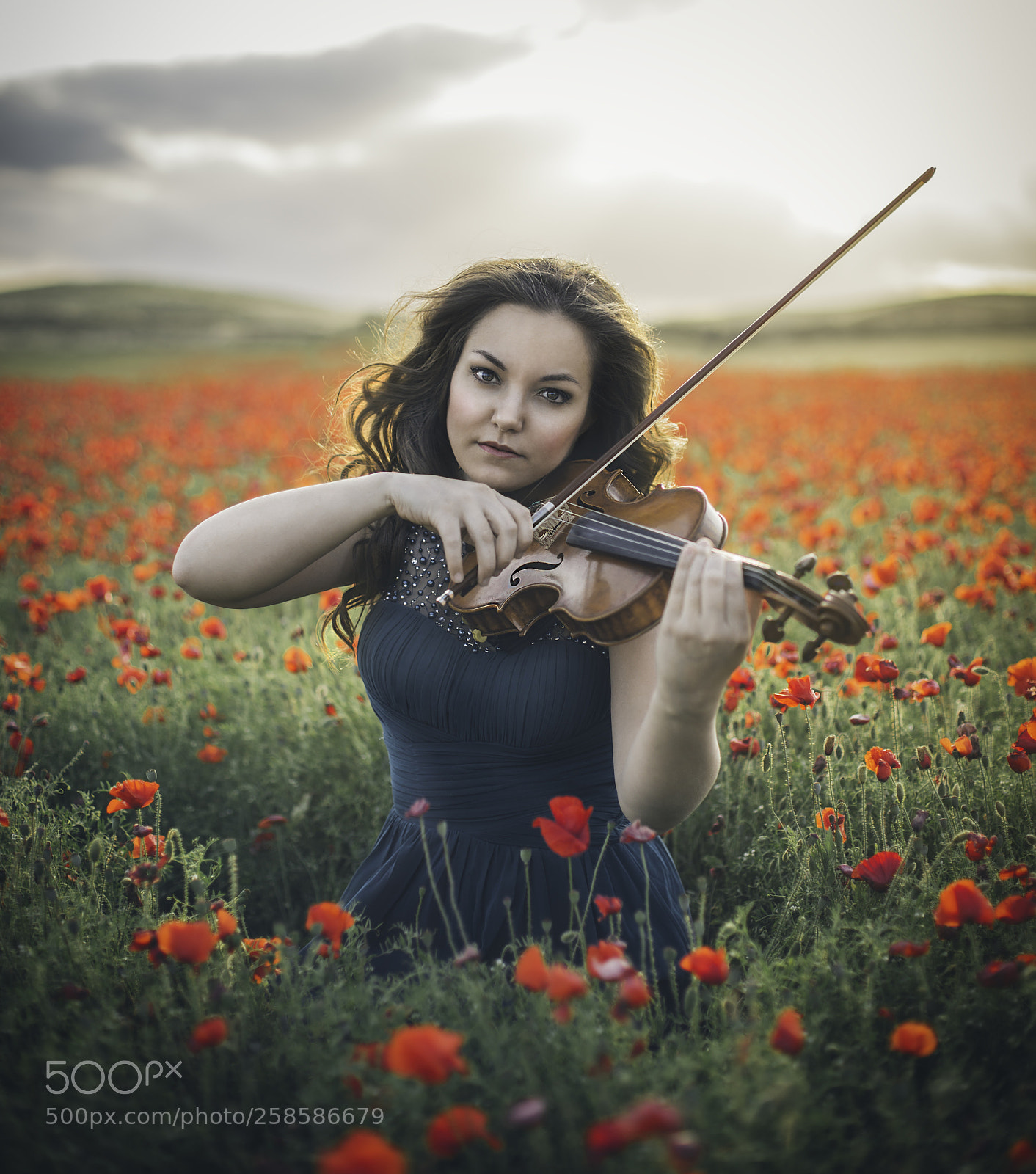 Canon EOS 6D sample photo. The violinist photography
