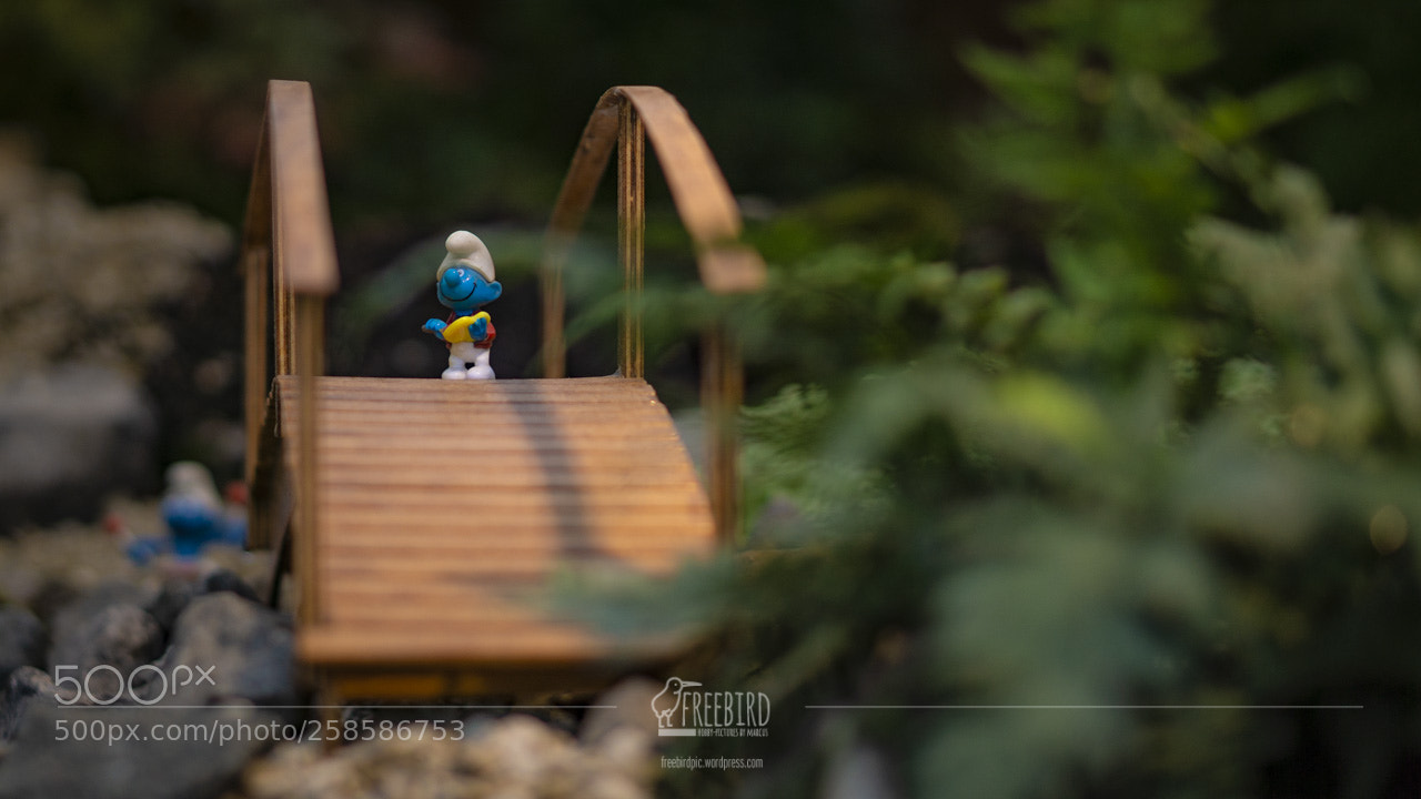 Sony a6000 sample photo. Go go smurf! photography