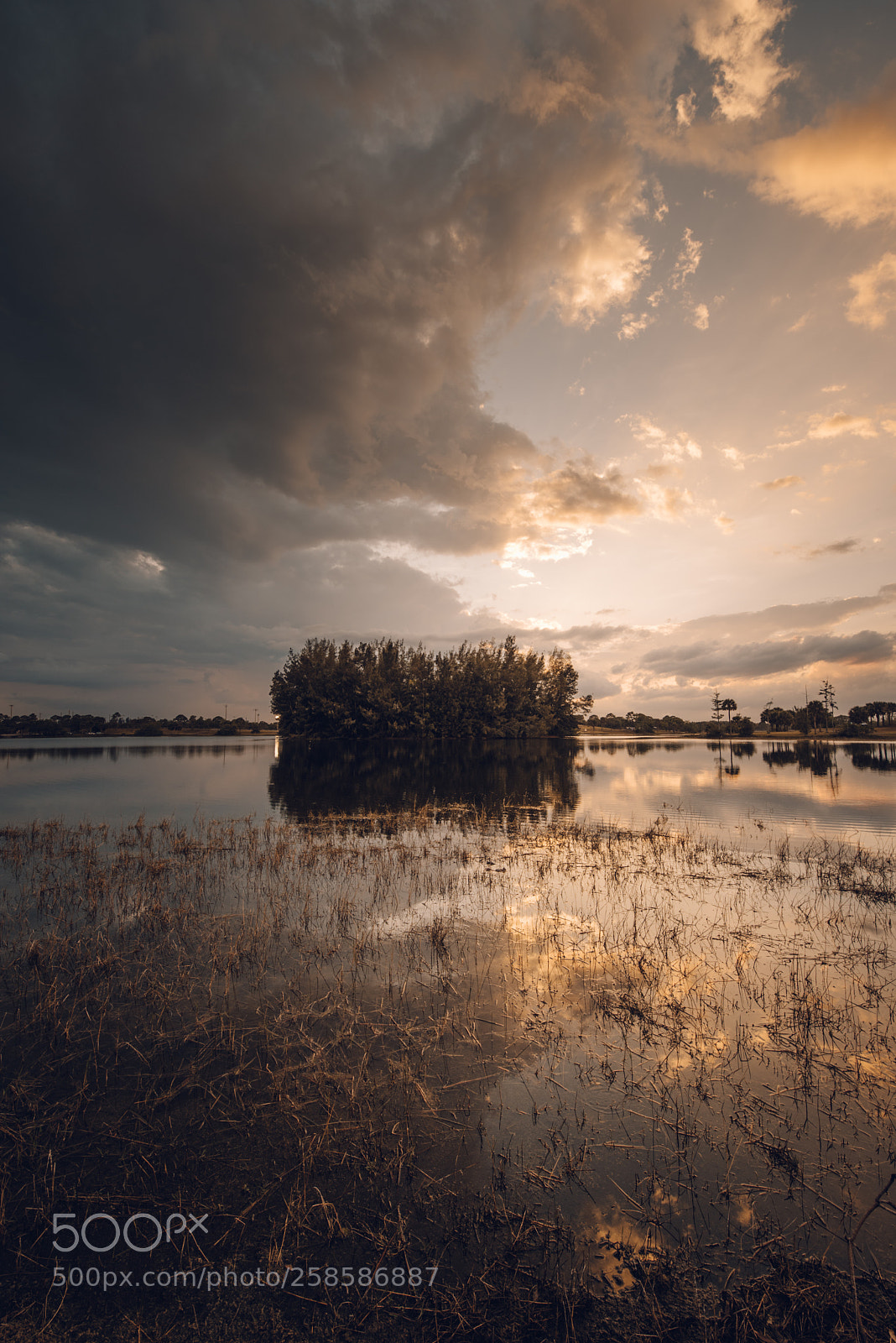 Nikon D750 sample photo. Land of the man photography