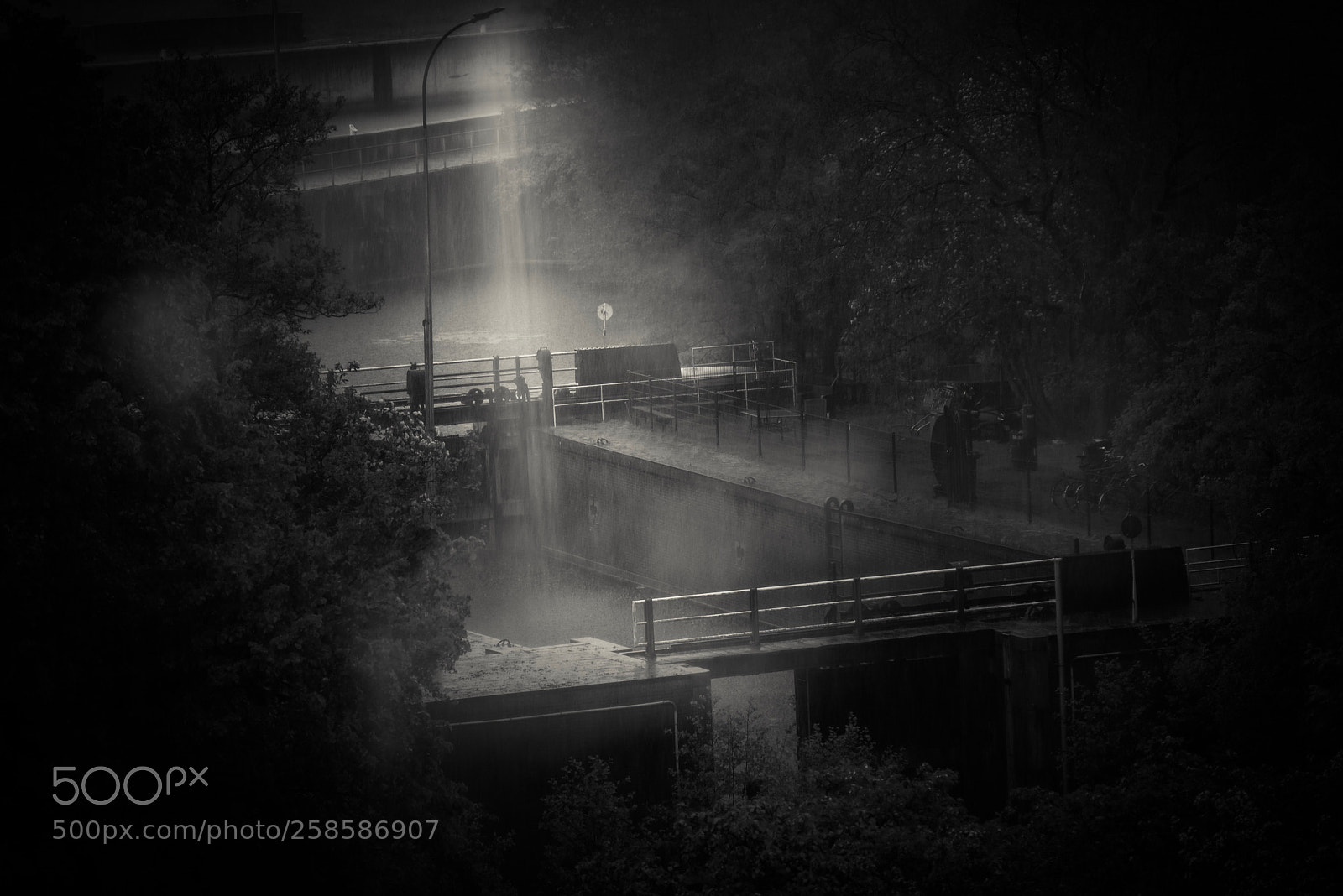 Nikon D750 sample photo. Pouring rain at the photography