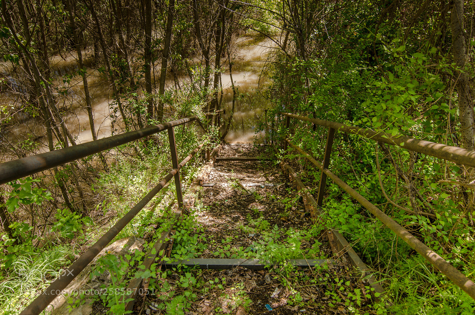 Nikon D5100 sample photo. Entre las sombras photography