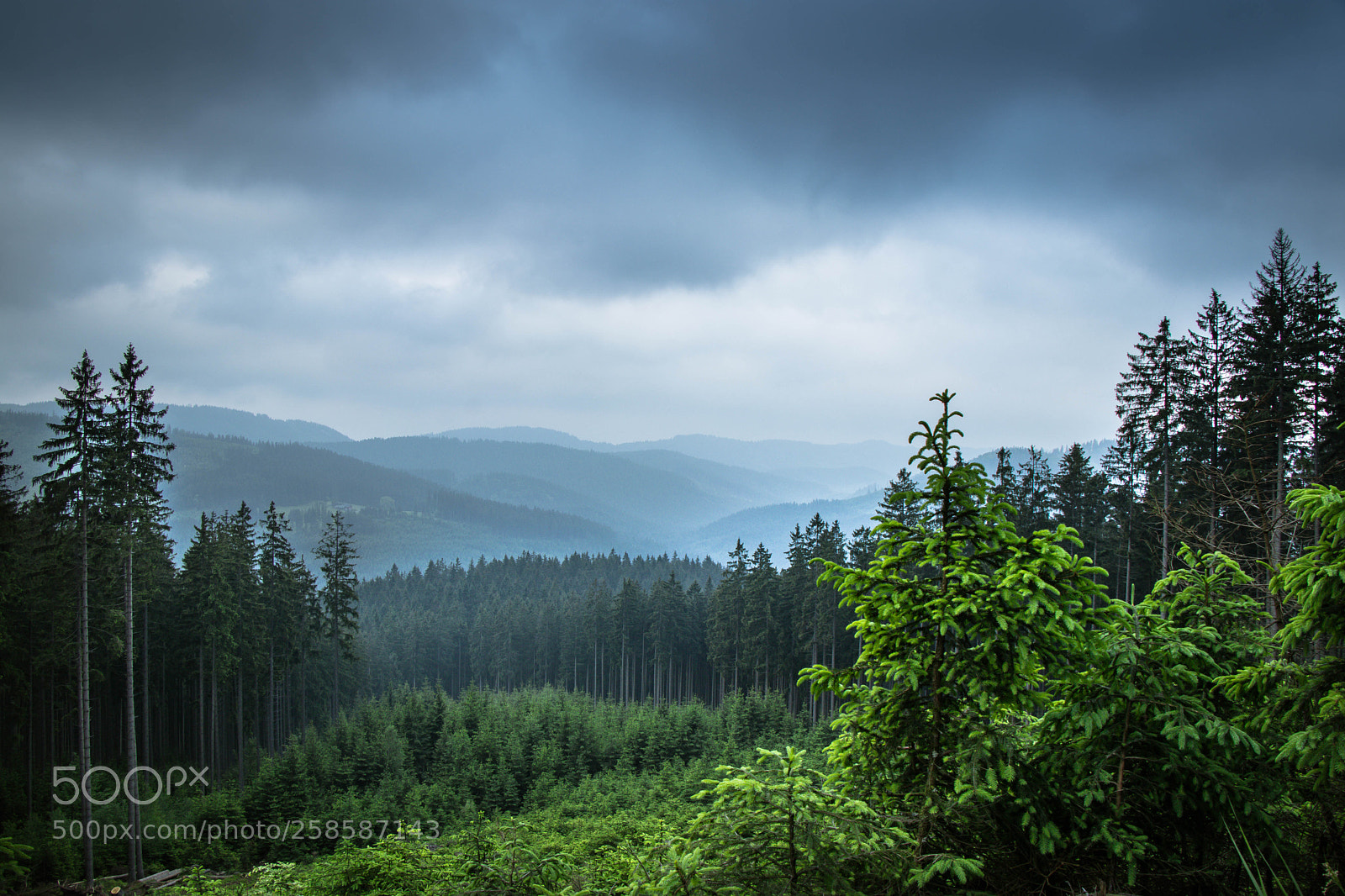 Canon EOS 80D sample photo. Czech land photography