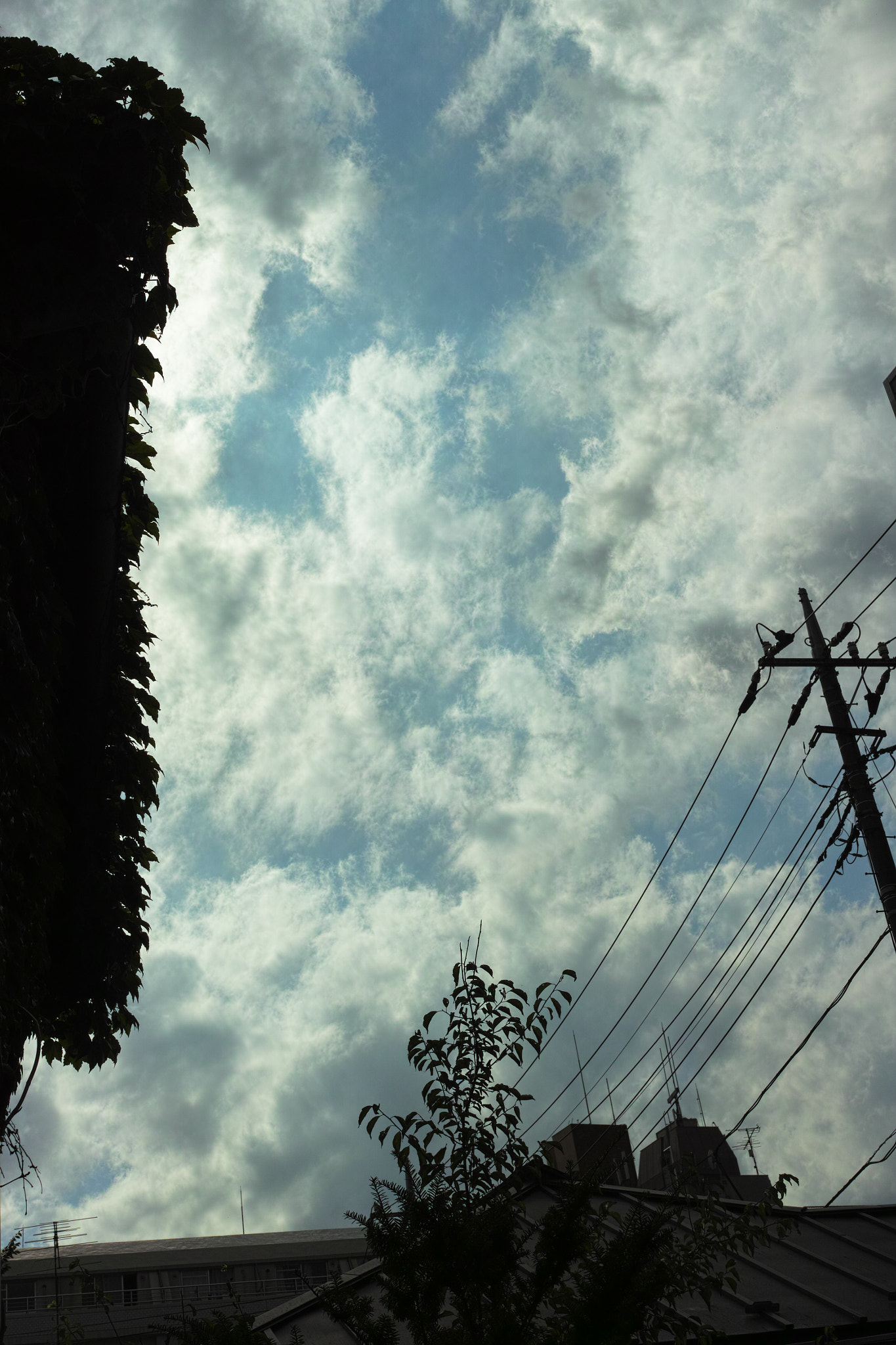Sigma DP2 Merrill sample photo. Skies and clouds photography