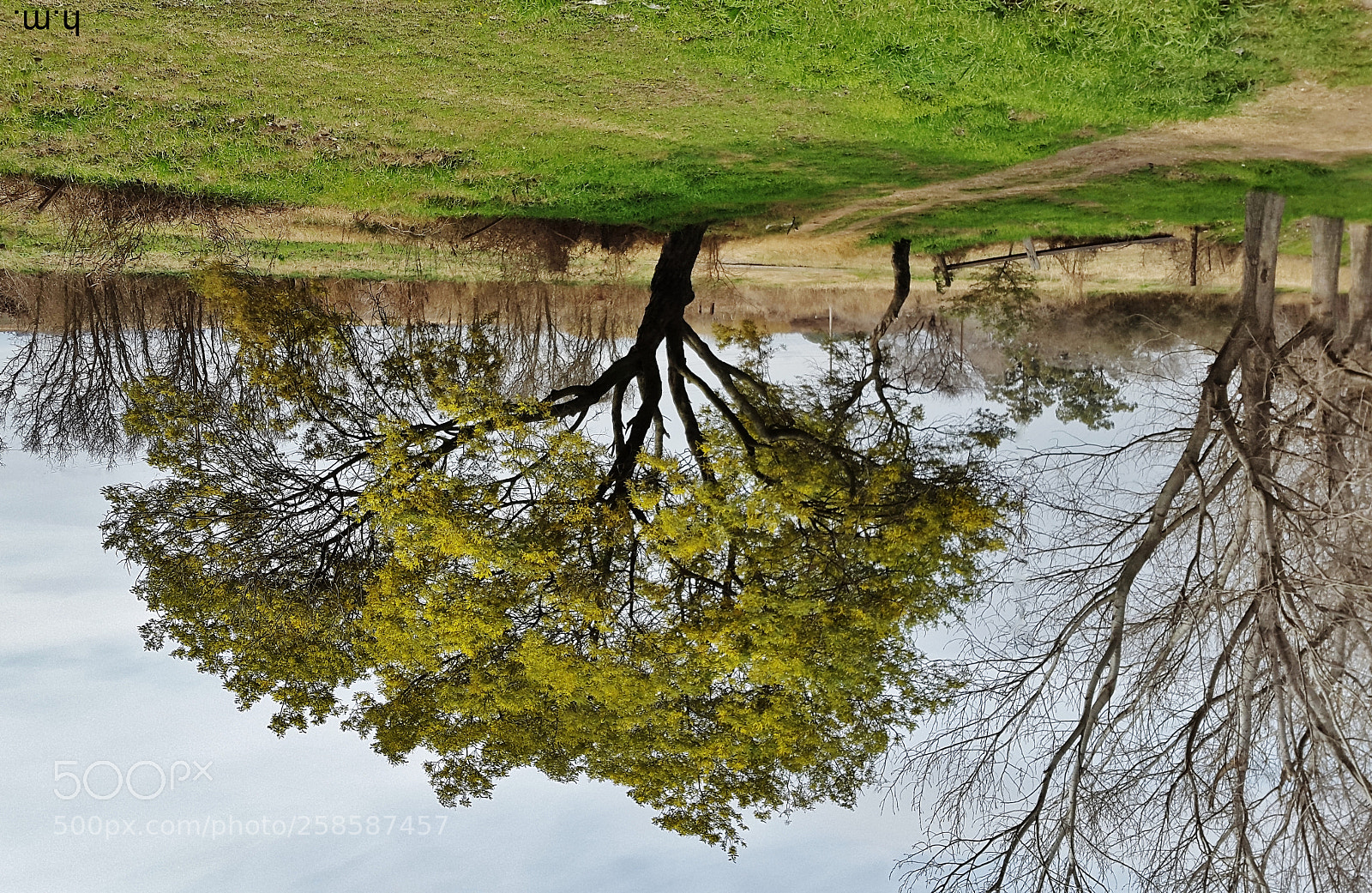 Samsung Galaxy S5 sample photo. Ebeo photography