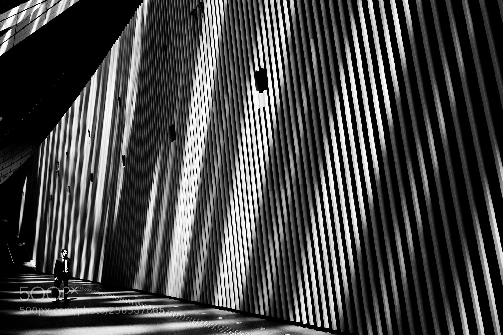 Leica Q (Typ 116) sample photo. Going through photography