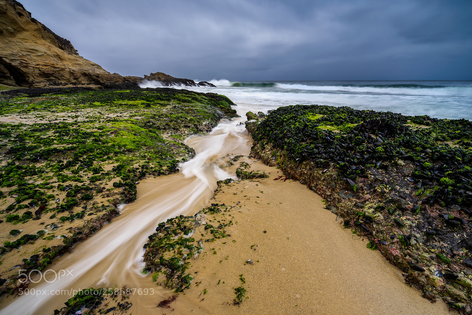 Sony a7 II sample photo. Low tide photography