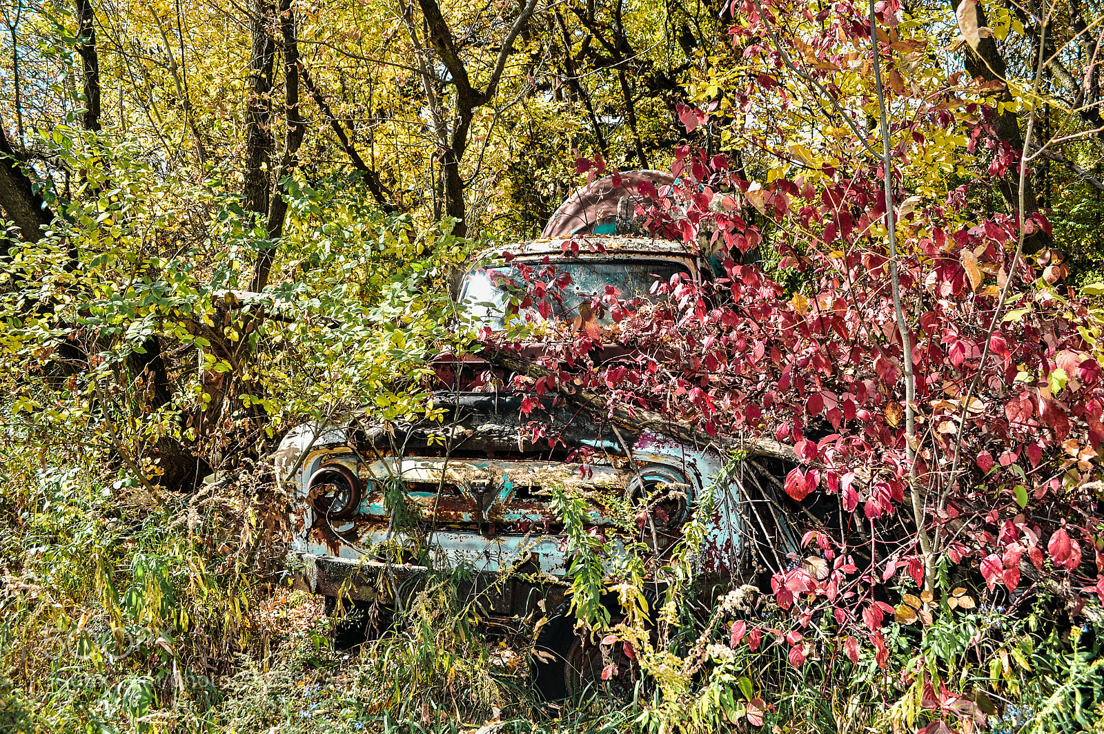 Nikon D5000 sample photo. Lost on the side photography
