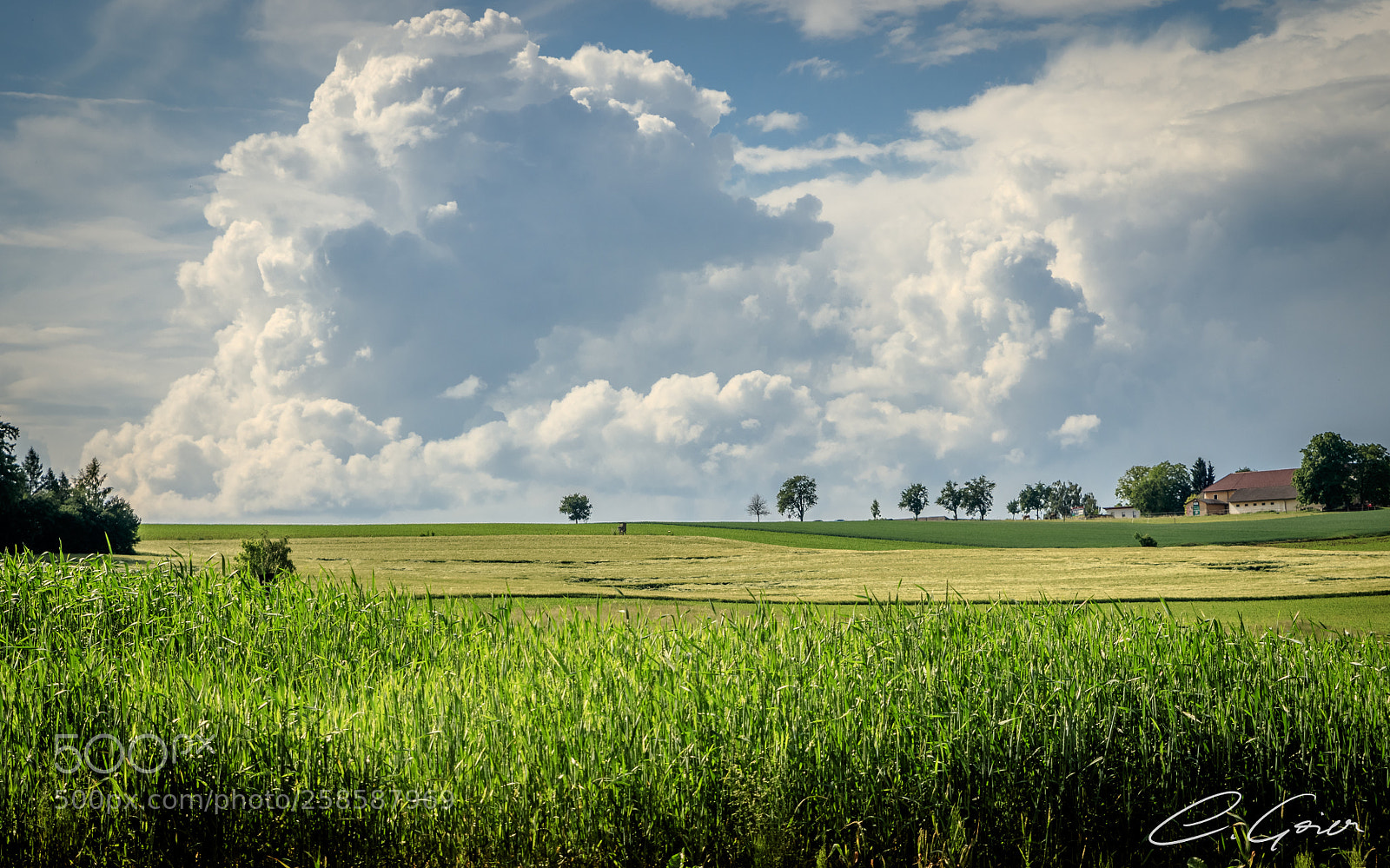Canon EOS 77D (EOS 9000D / EOS 770D) sample photo. Big clouds photography