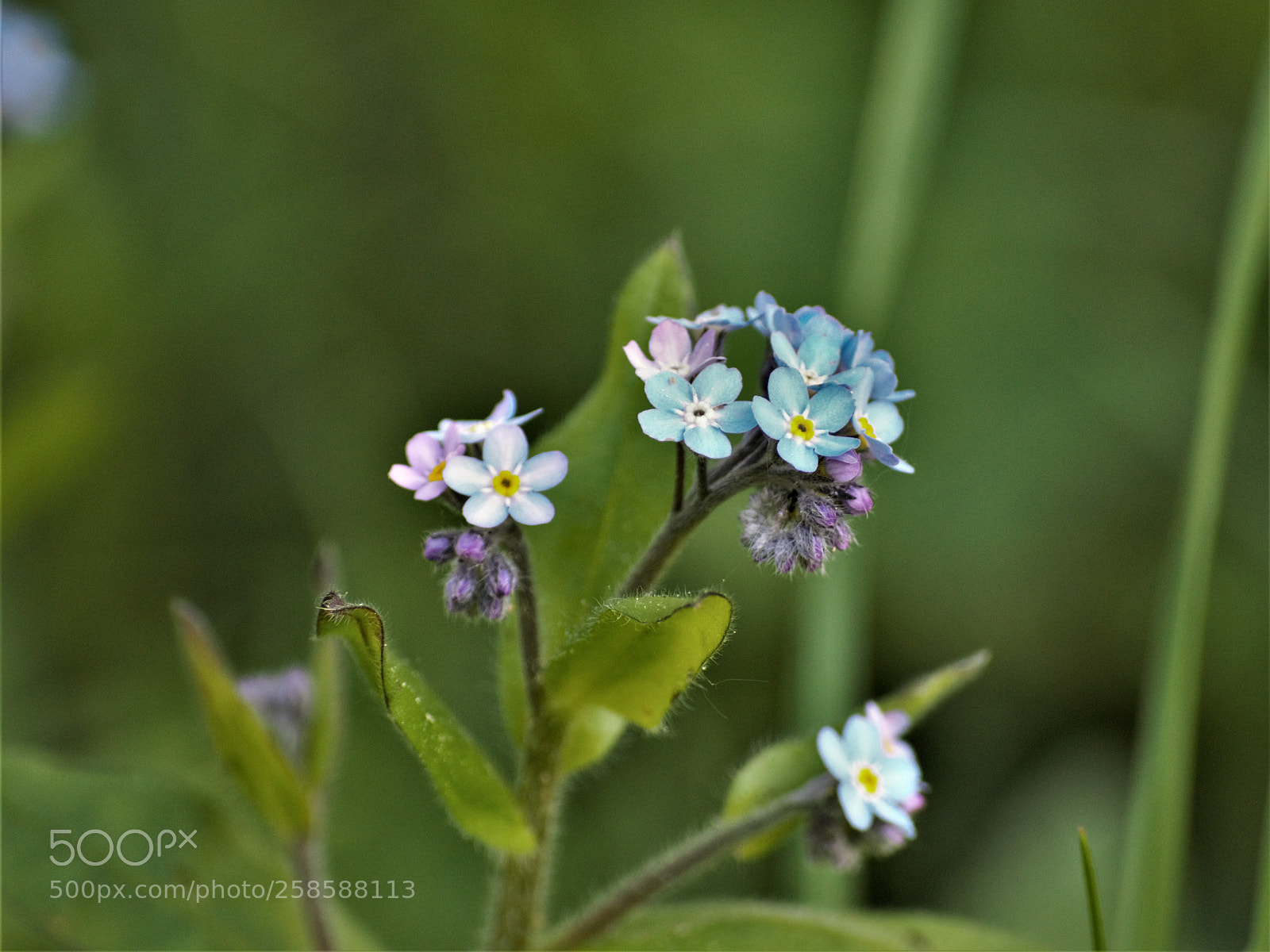 Nikon D3200 sample photo. Untitled photography