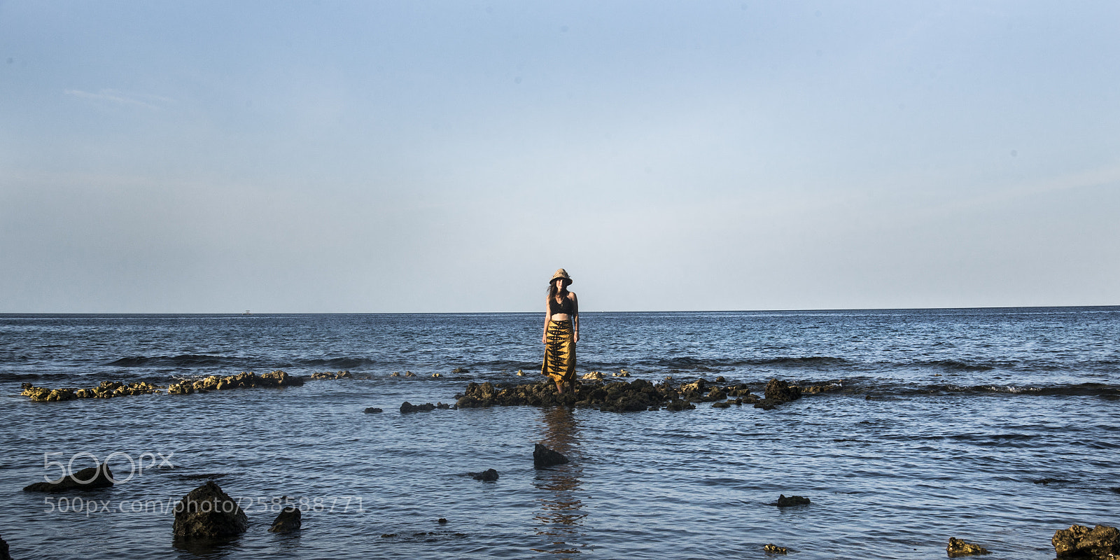 Nikon D750 sample photo. Intruder in the sea photography