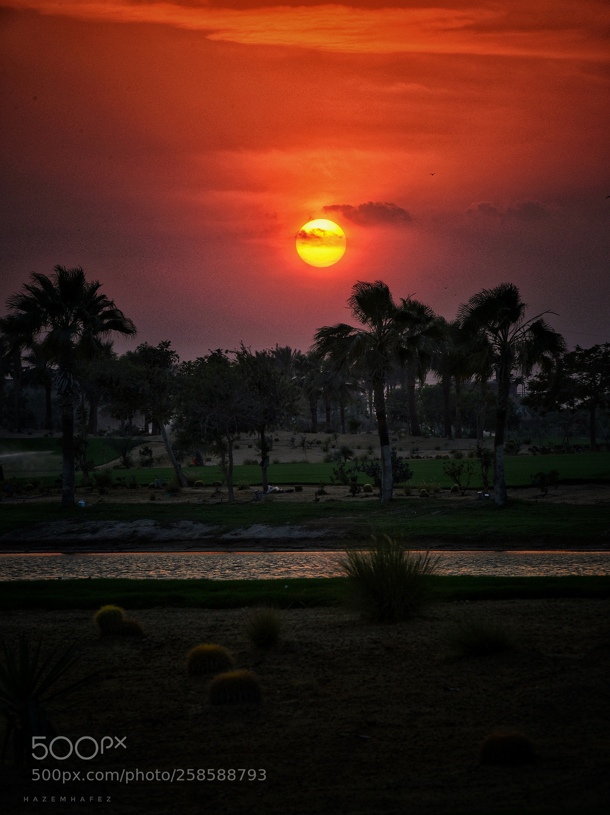 Nikon D810 sample photo. Beautiful sunsets.. photography
