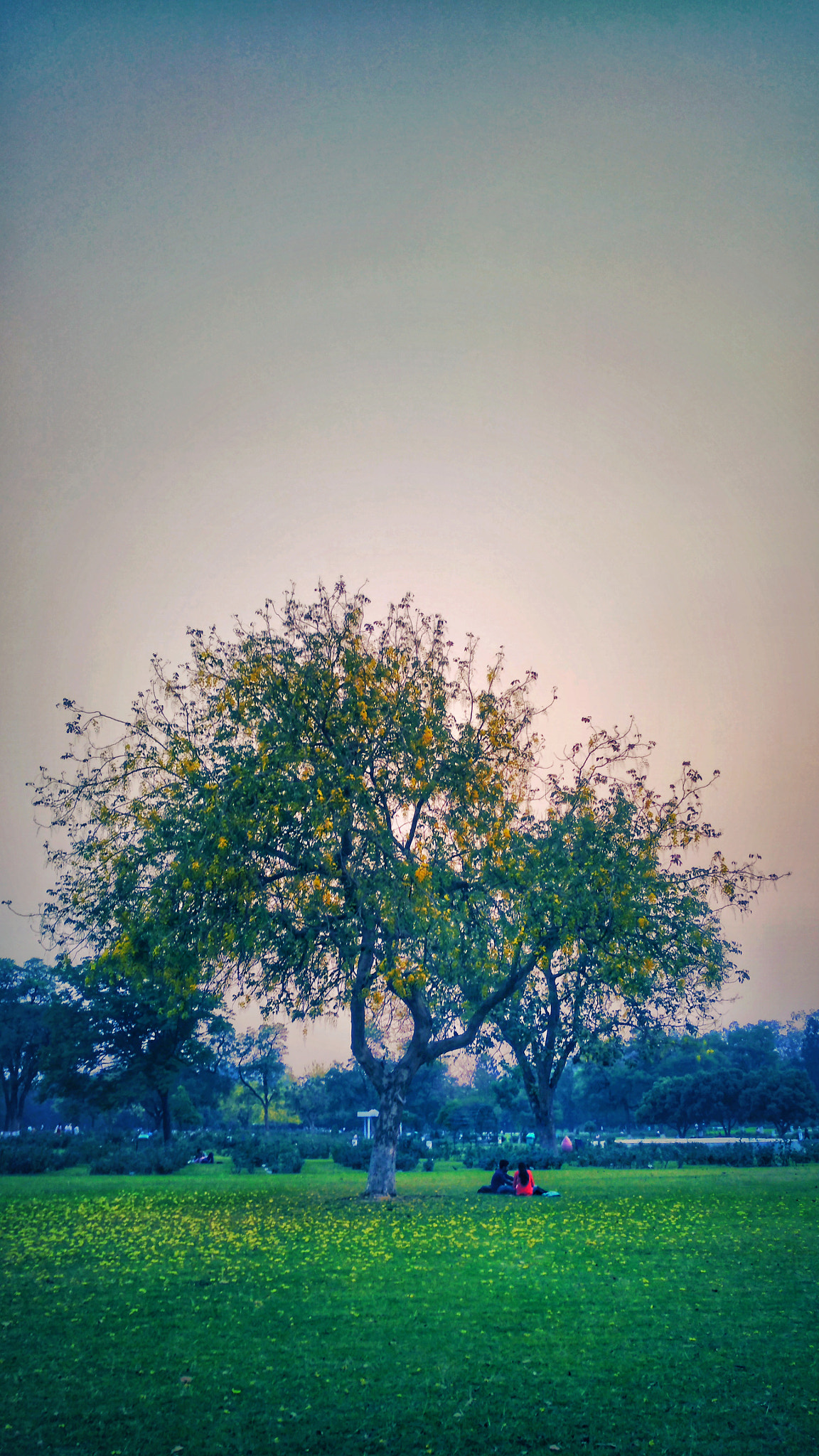 nubia Z11 MINI sample photo