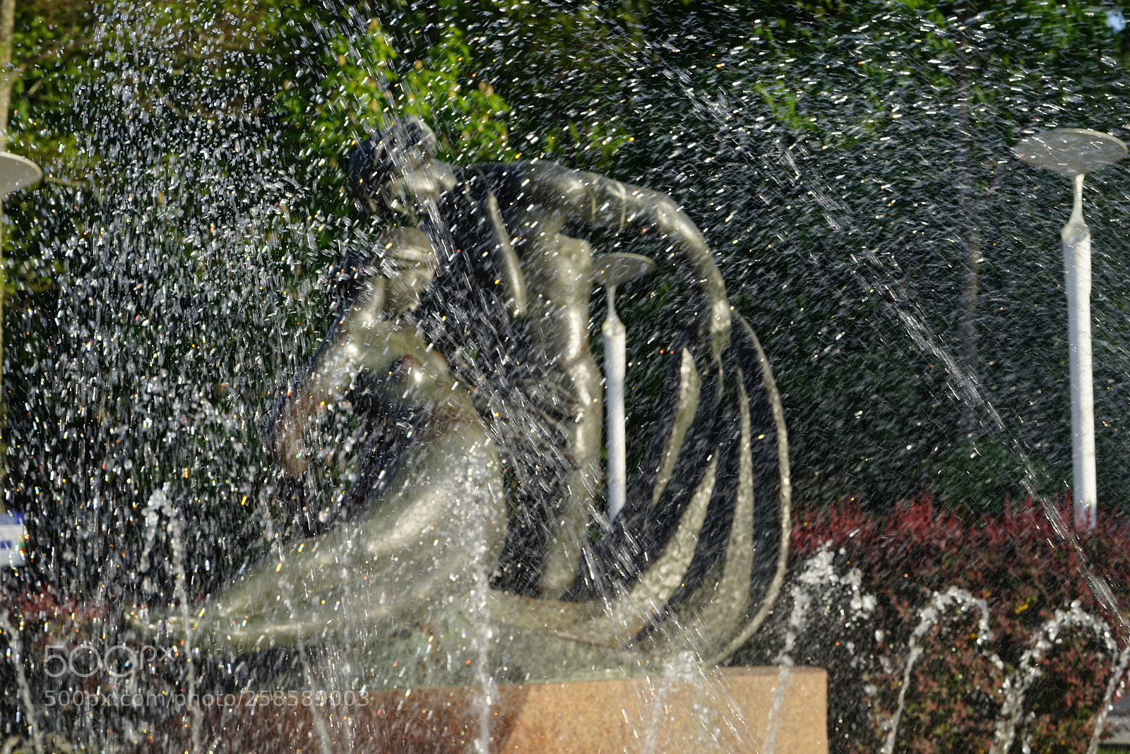 Sony a7R sample photo. Dsc photography
