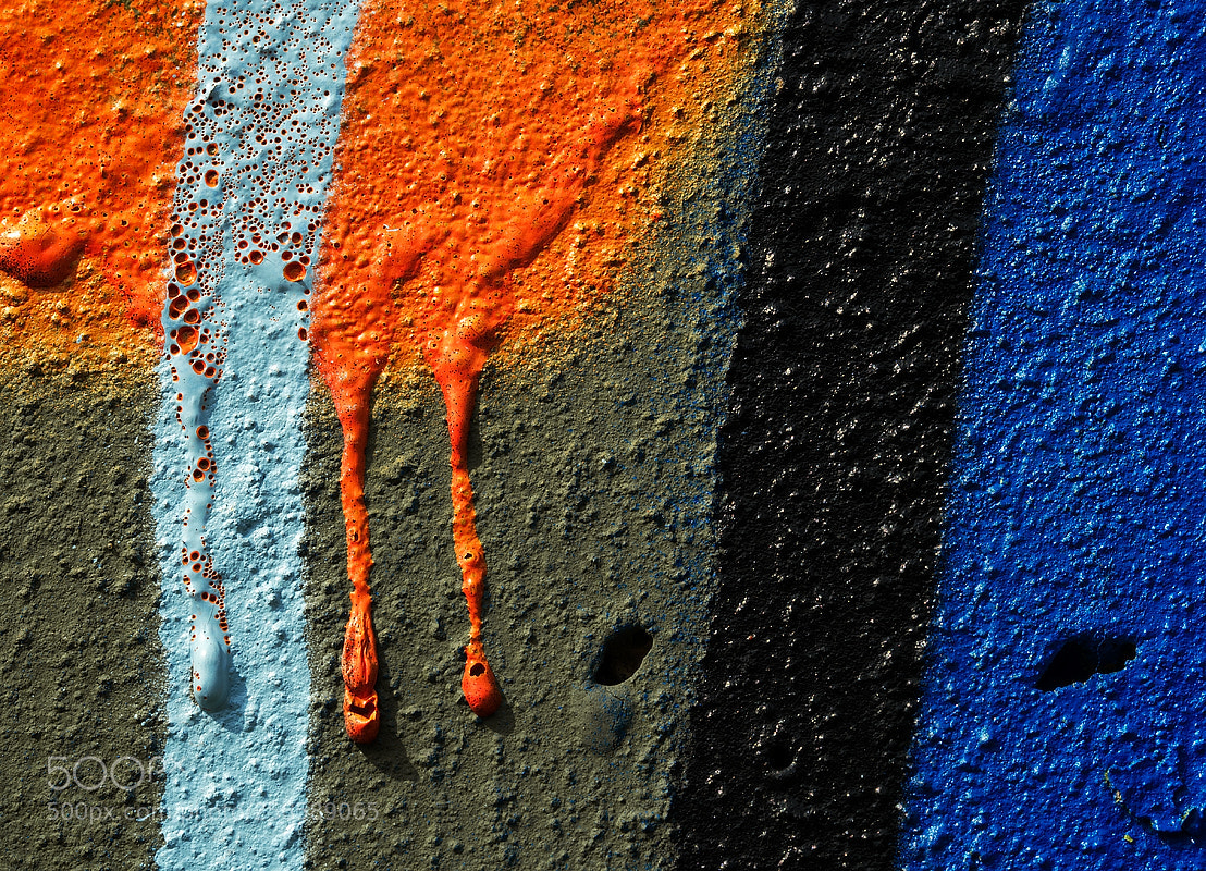 Nikon D500 sample photo. Jamas 2-058 photography
