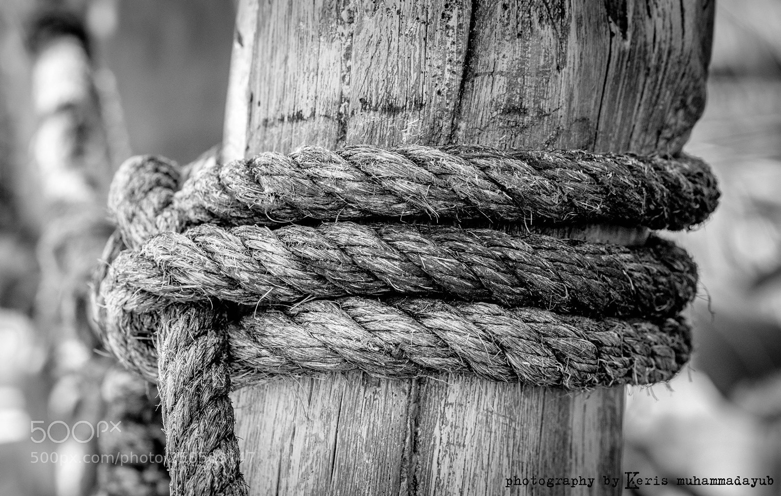Nikon D5200 sample photo. Cuddle photography