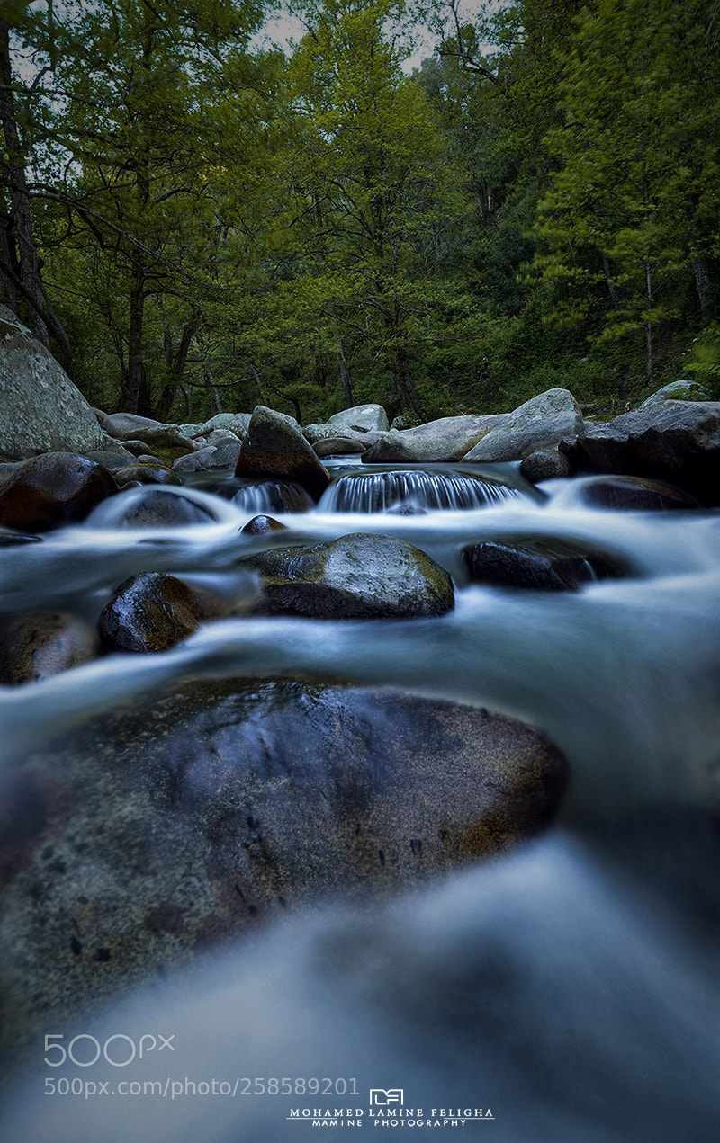 Nikon D610 sample photo. Valley photography
