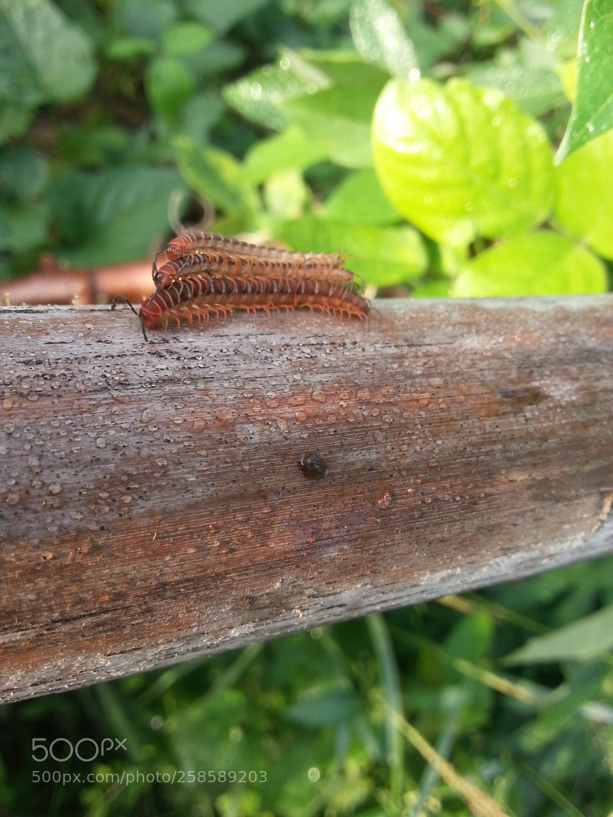 Samsung Galaxy Note2 sample photo. Untitled photography