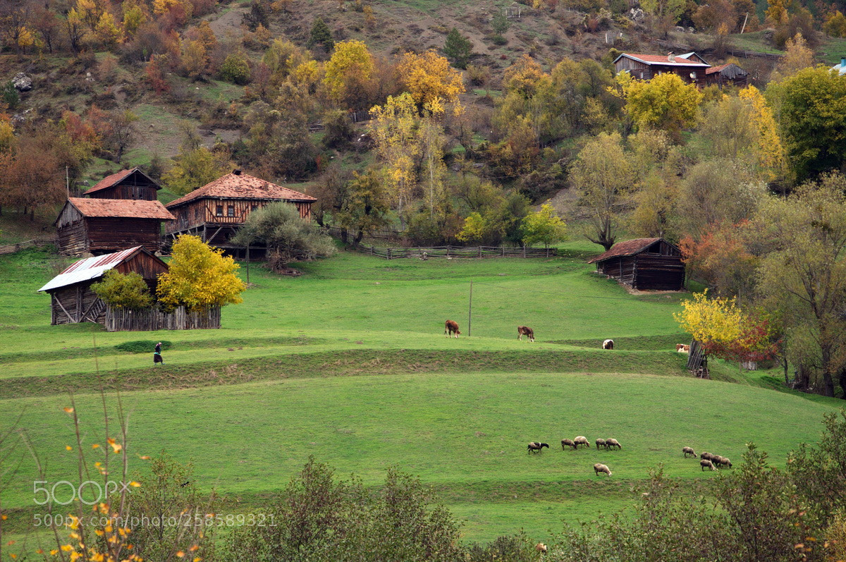 Nikon D90 sample photo. Village photography