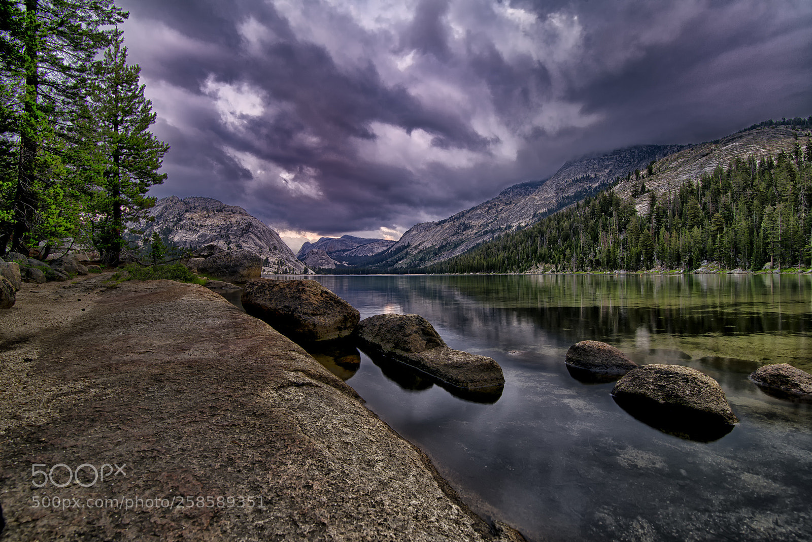 Nikon D800 sample photo. Tenaya lake, yosemite np photography
