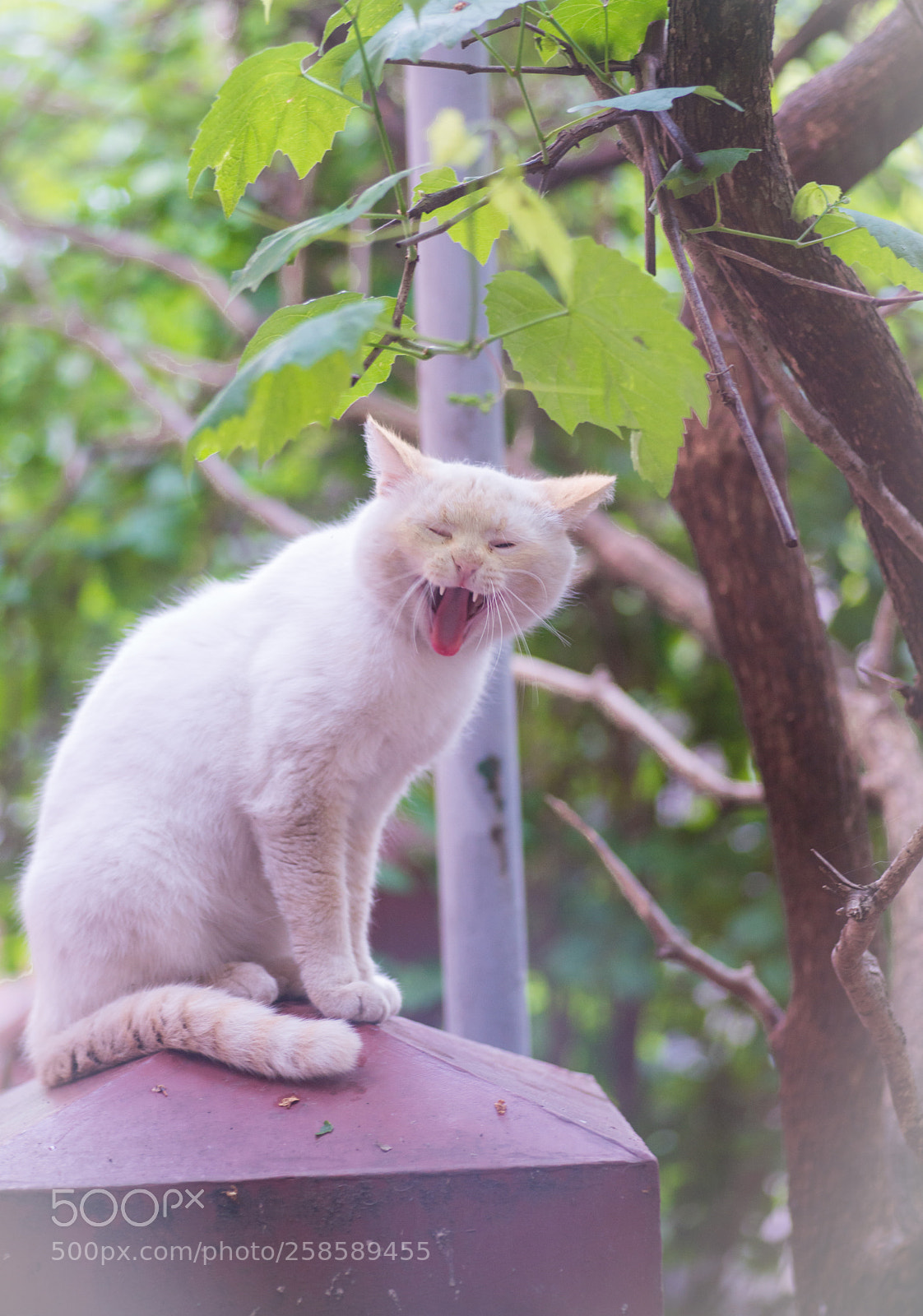 Nikon D800 sample photo. Say "cheese"   :) photography