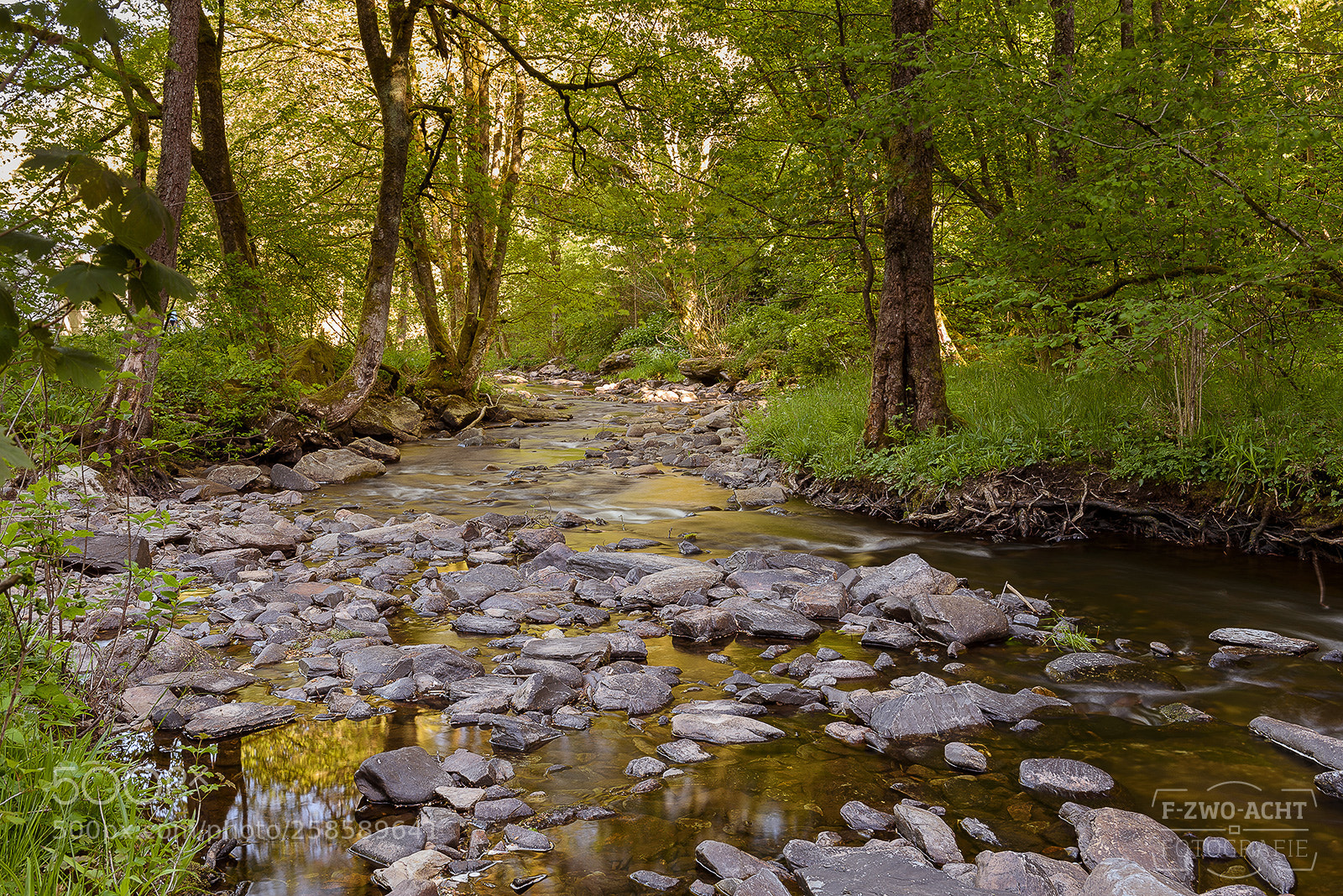 Nikon D750 sample photo. Nature photography
