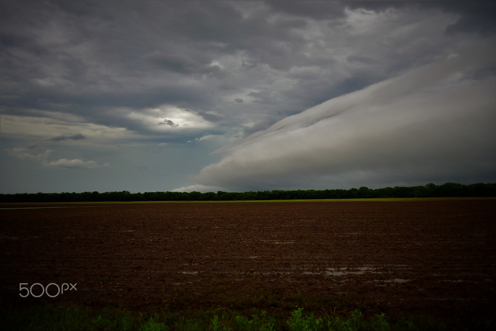 Nikon D750 sample photo. Gust front photography