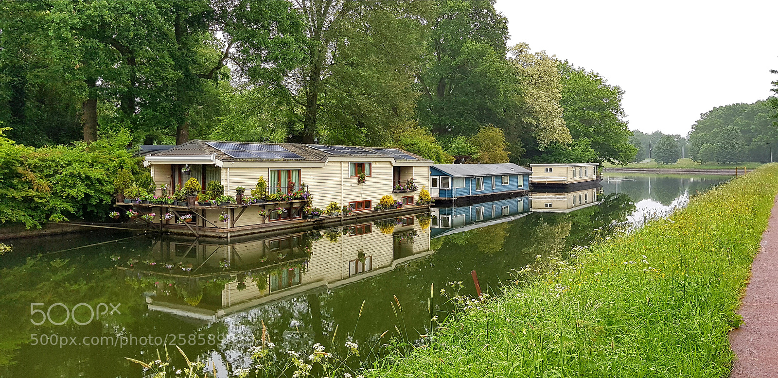 Samsung Galaxy S8 sample photo. Untitled photography