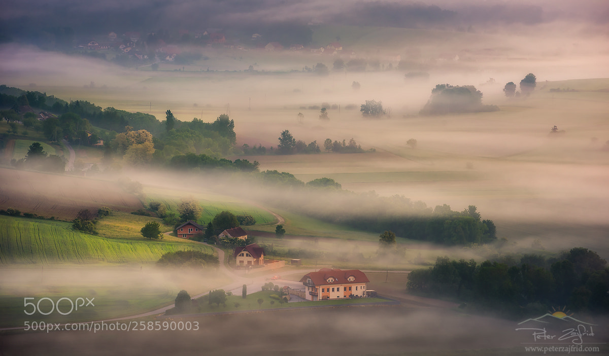 Nikon D810 sample photo. Misty spring morning photography