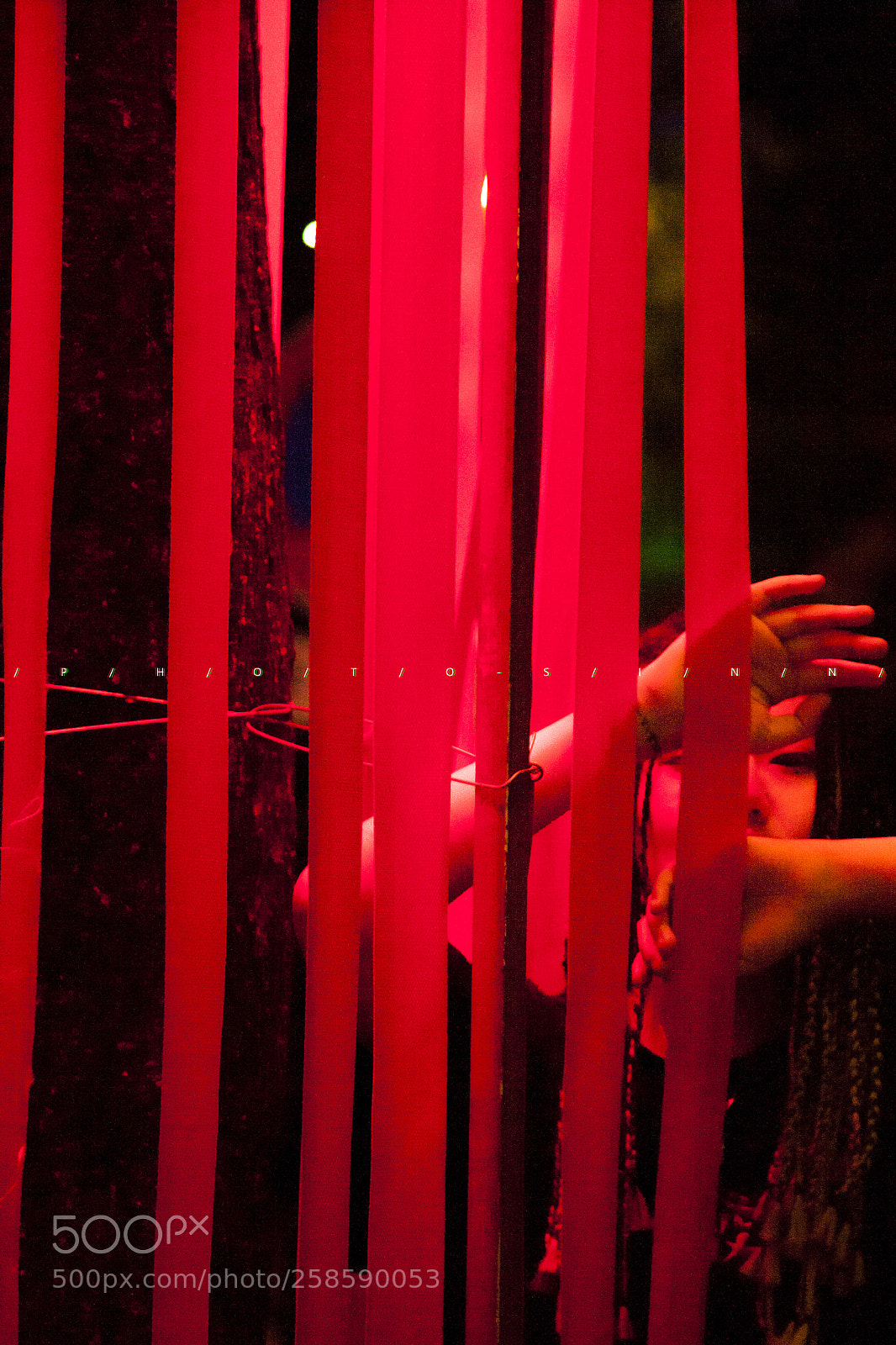 Canon EOS 5D sample photo. Red cage photography