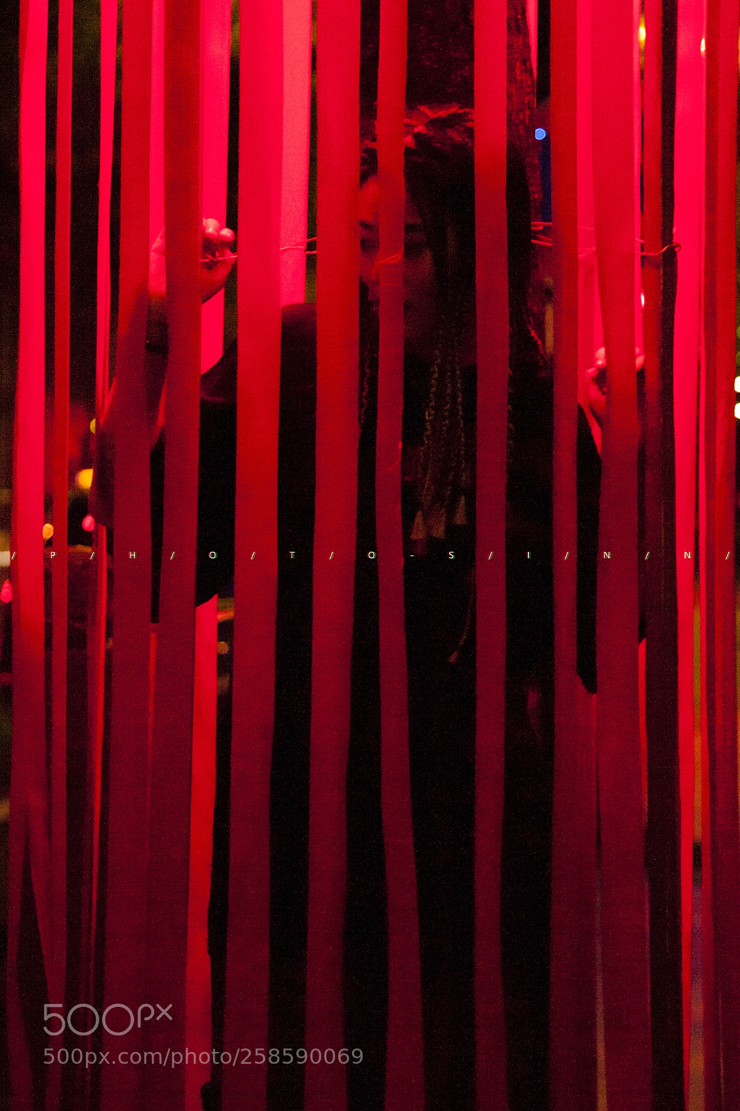 Canon EOS 5D sample photo. Red cage photography