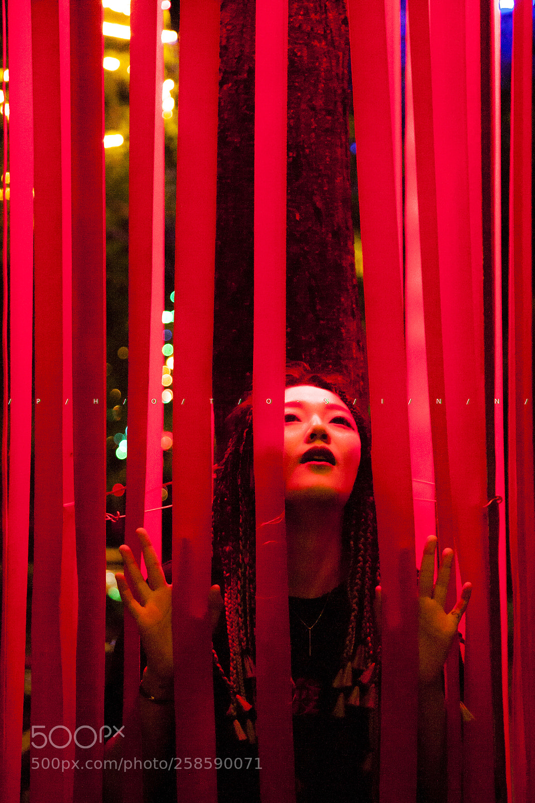 Canon EOS 5D sample photo. Red cage photography