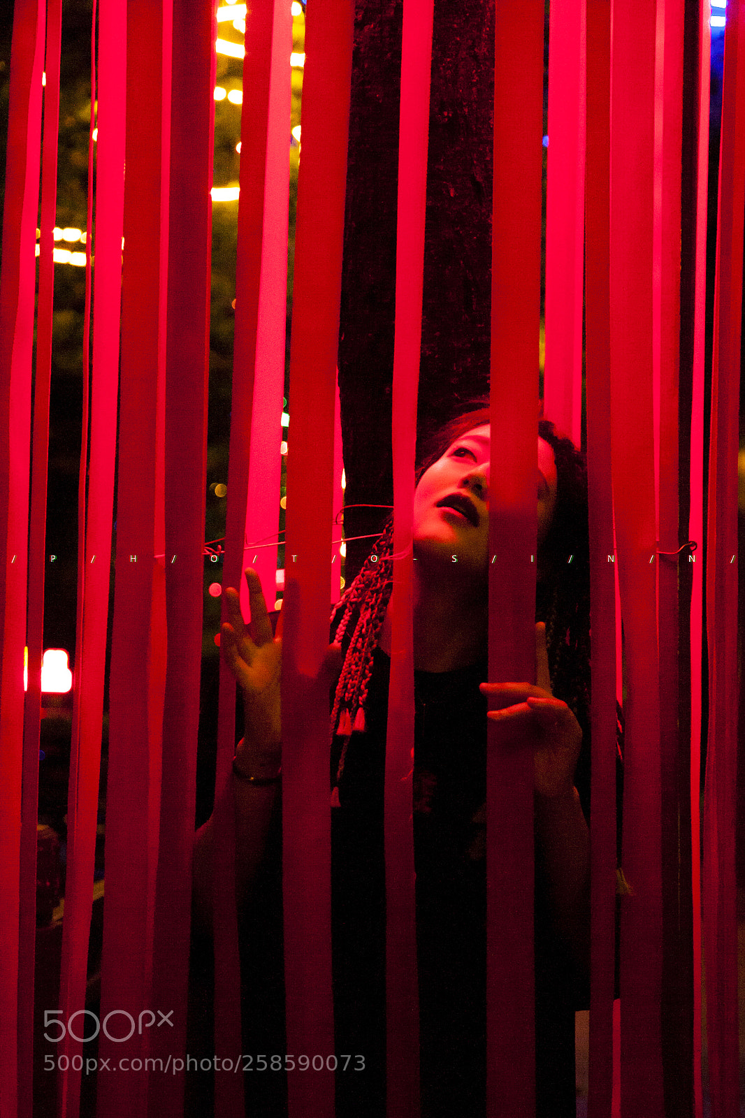 Canon EOS 5D sample photo. Red cage photography