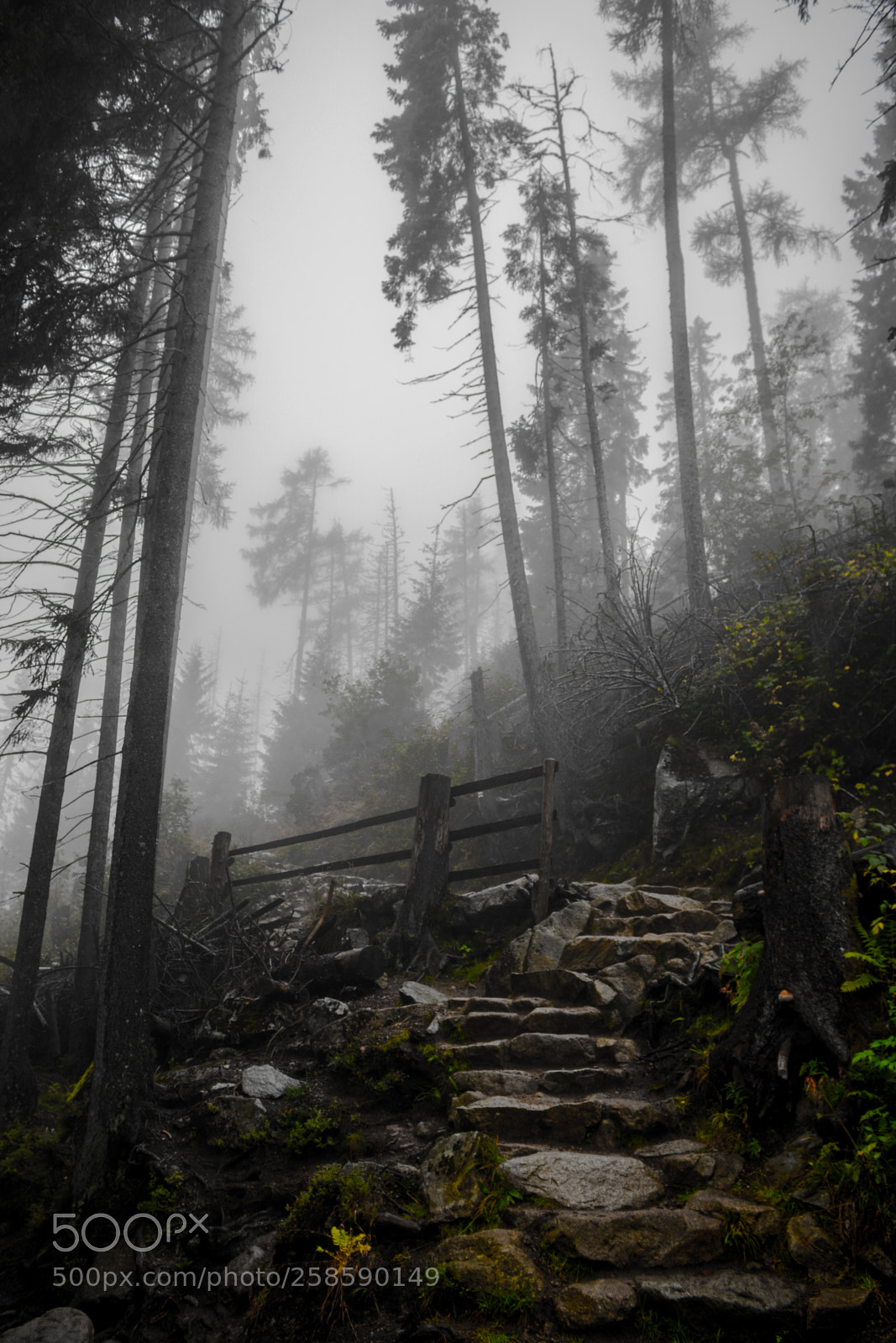 Canon EOS 750D (EOS Rebel T6i / EOS Kiss X8i) sample photo. Welcome to high tatras photography