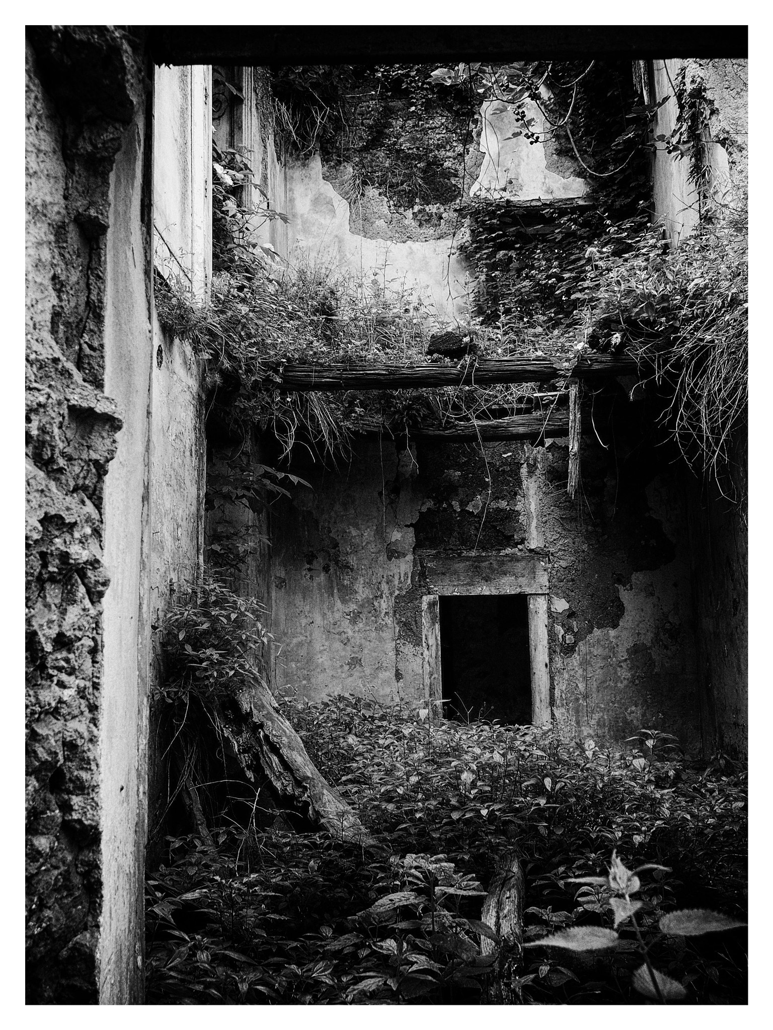 Olympus PEN E-P3 sample photo. Texture of devastation photography