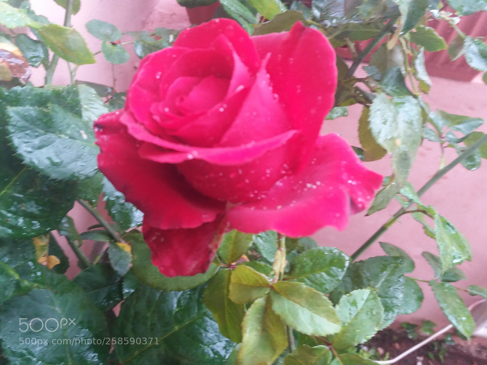 Samsung Galaxy J5(2016) sample photo. L'espoir photography
