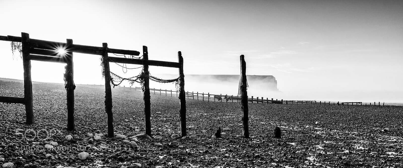 Nikon D5300 sample photo. Misty sunrise photography