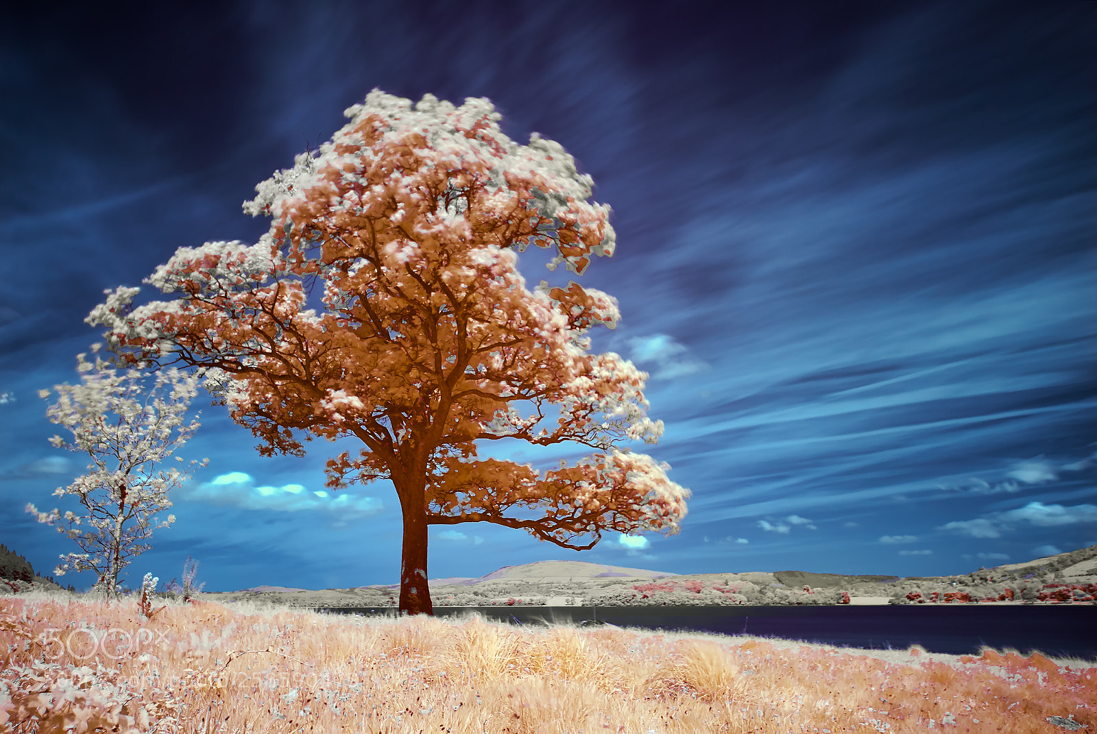 Nikon D200 sample photo. Bassenthwaite colour ir 720nm photography